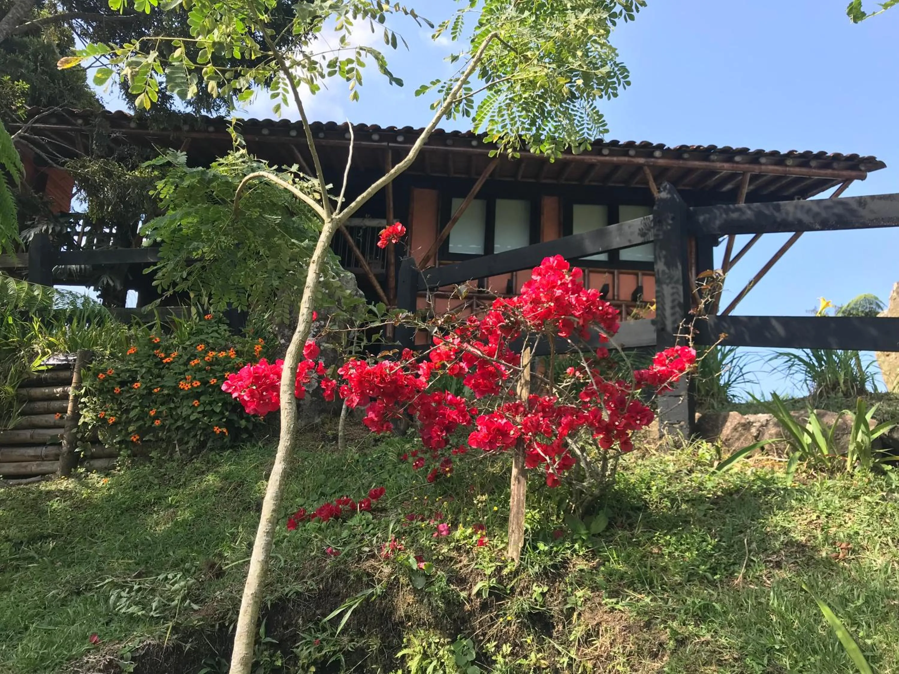 Garden in Santa Elena de la Colina