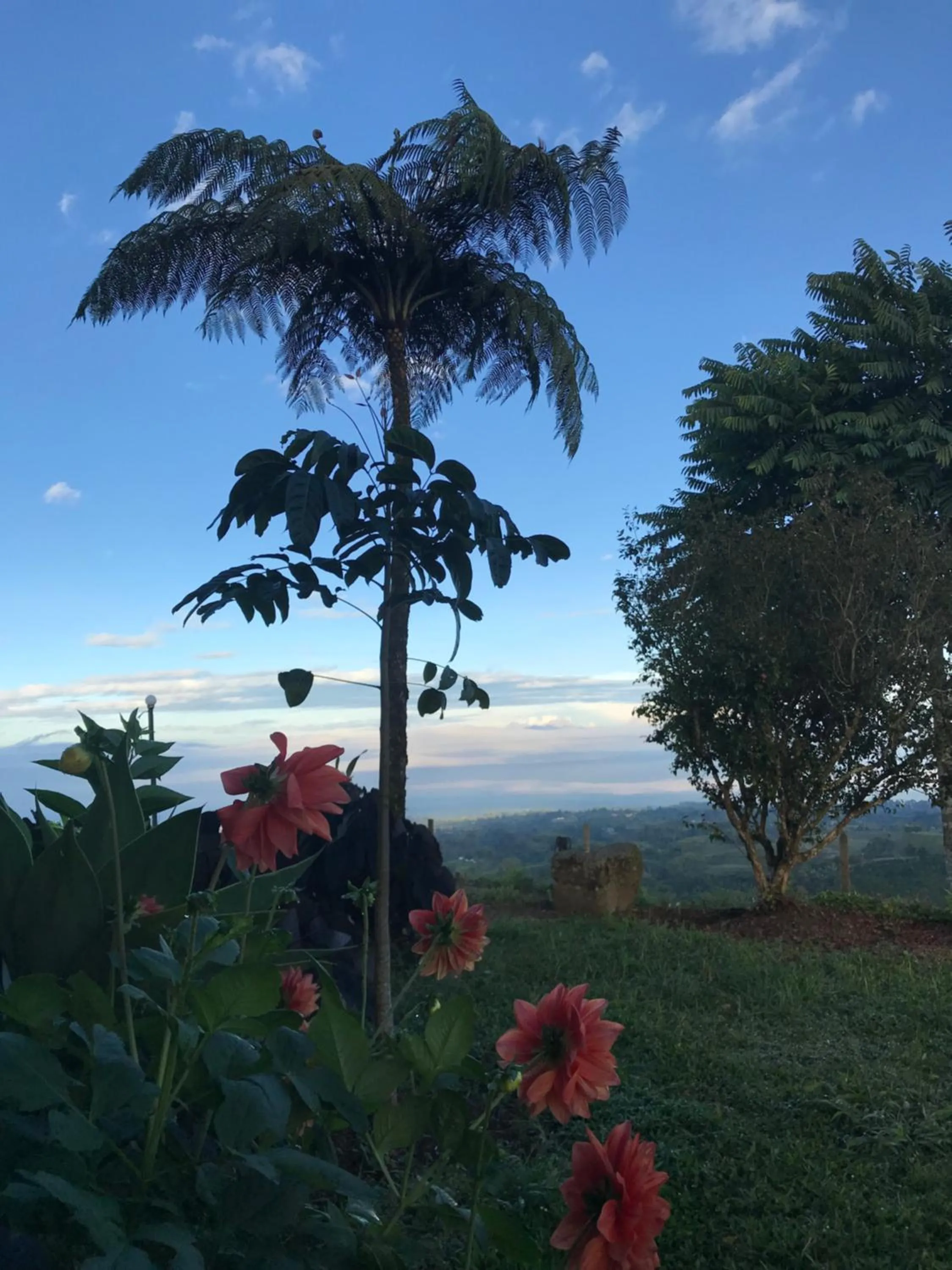 Garden in Santa Elena de la Colina