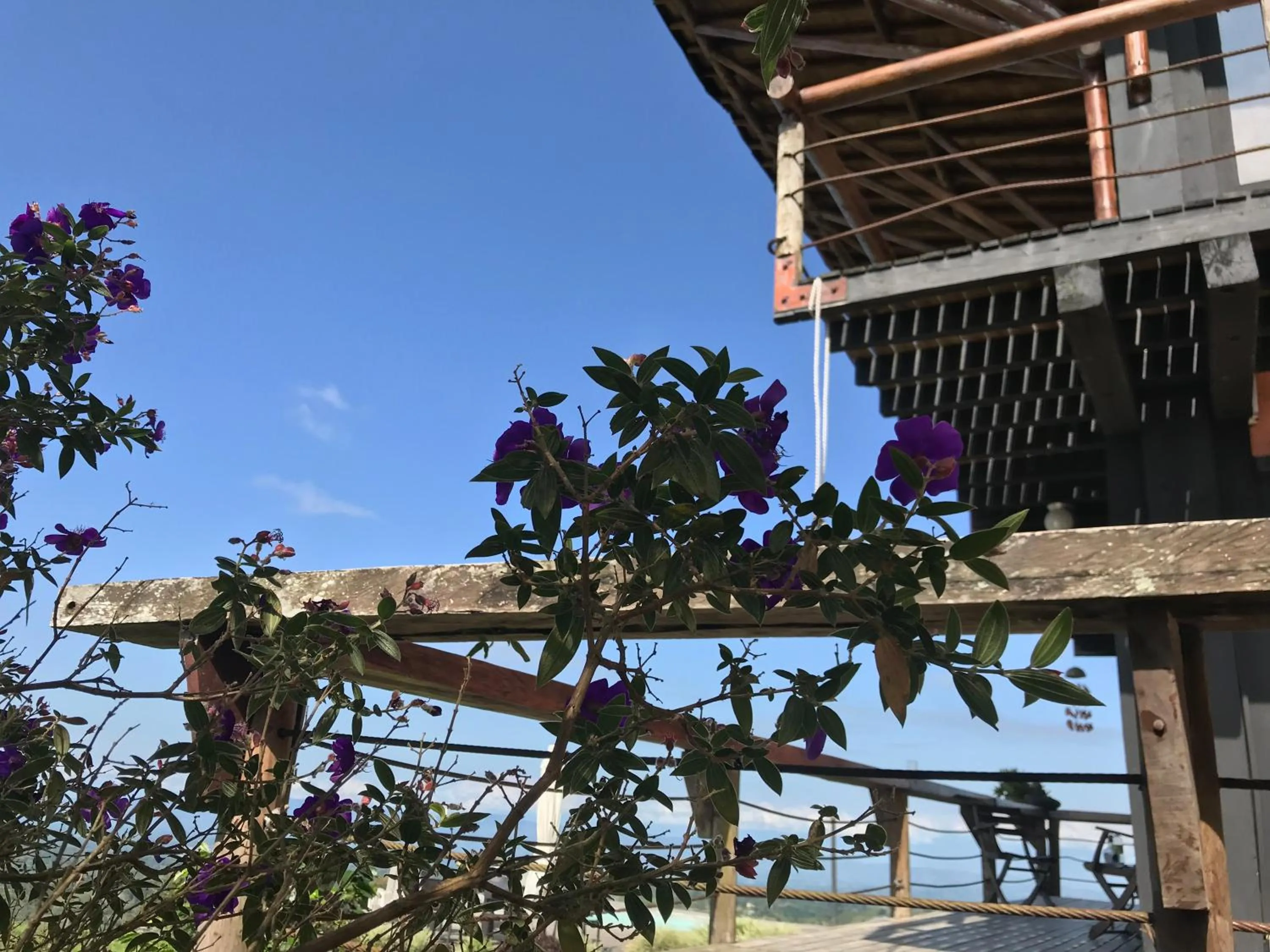 Balcony/Terrace in Santa Elena de la Colina