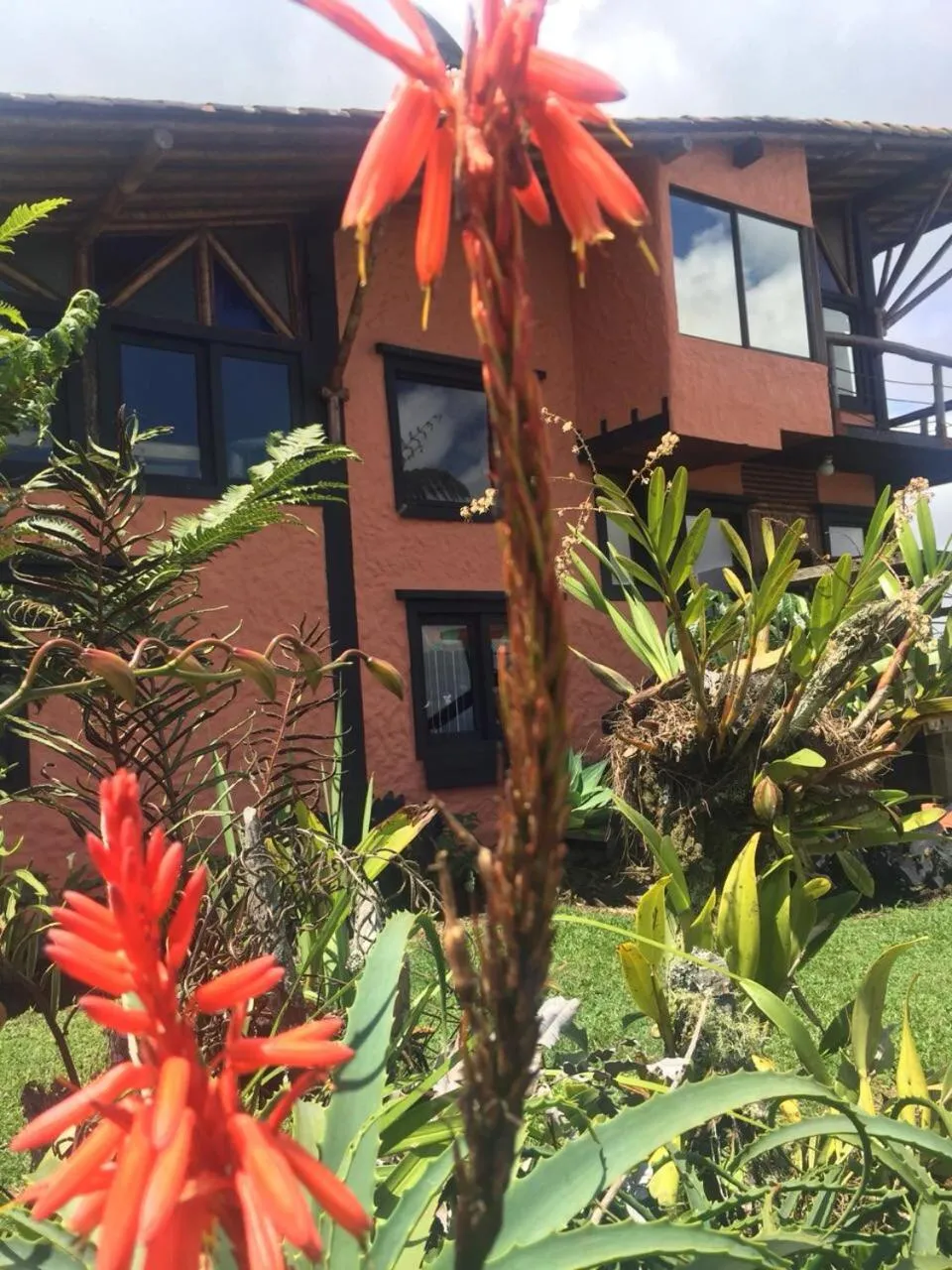 Garden in Santa Elena de la Colina