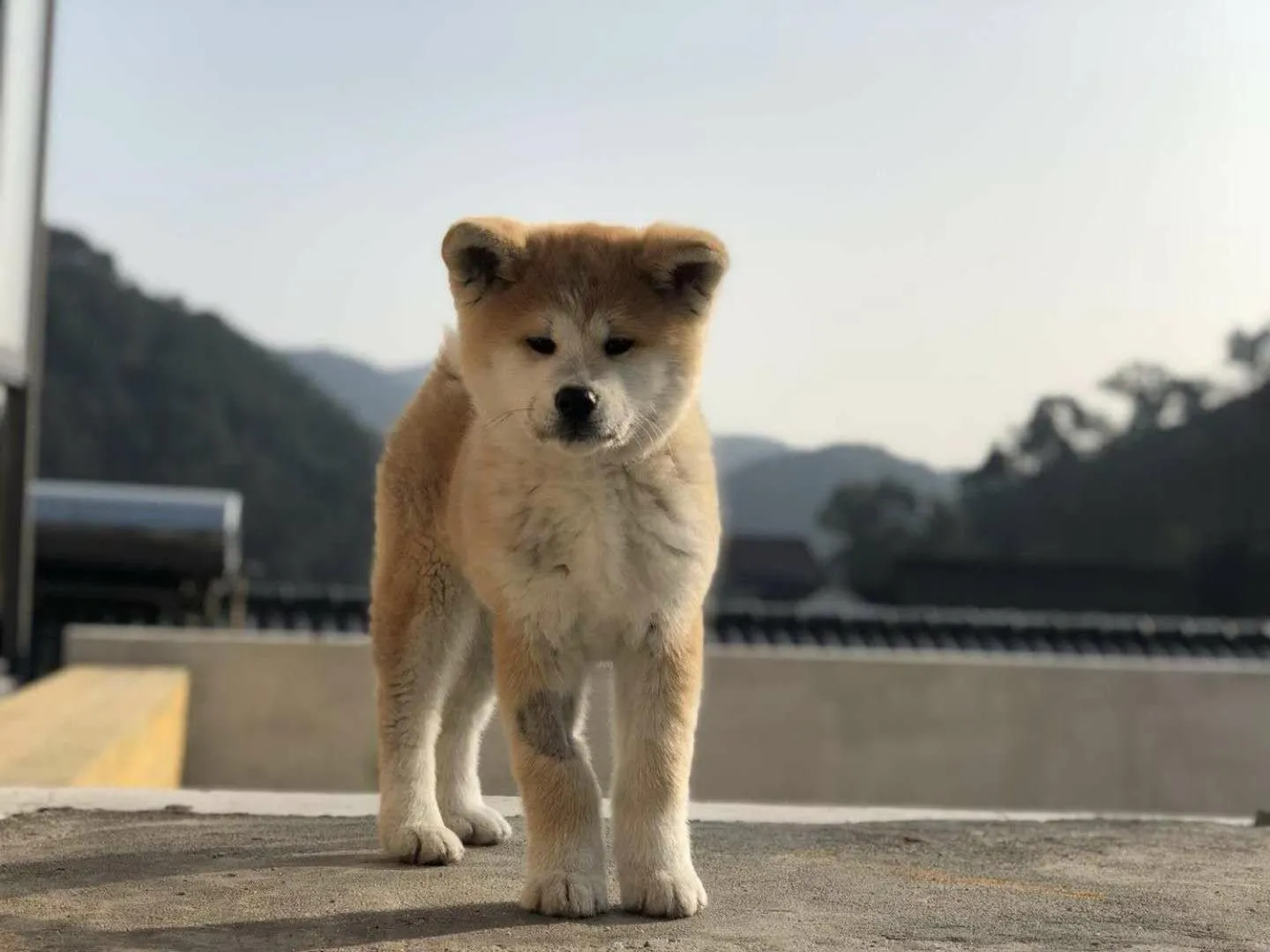 Hangzhou Sansu Hotel