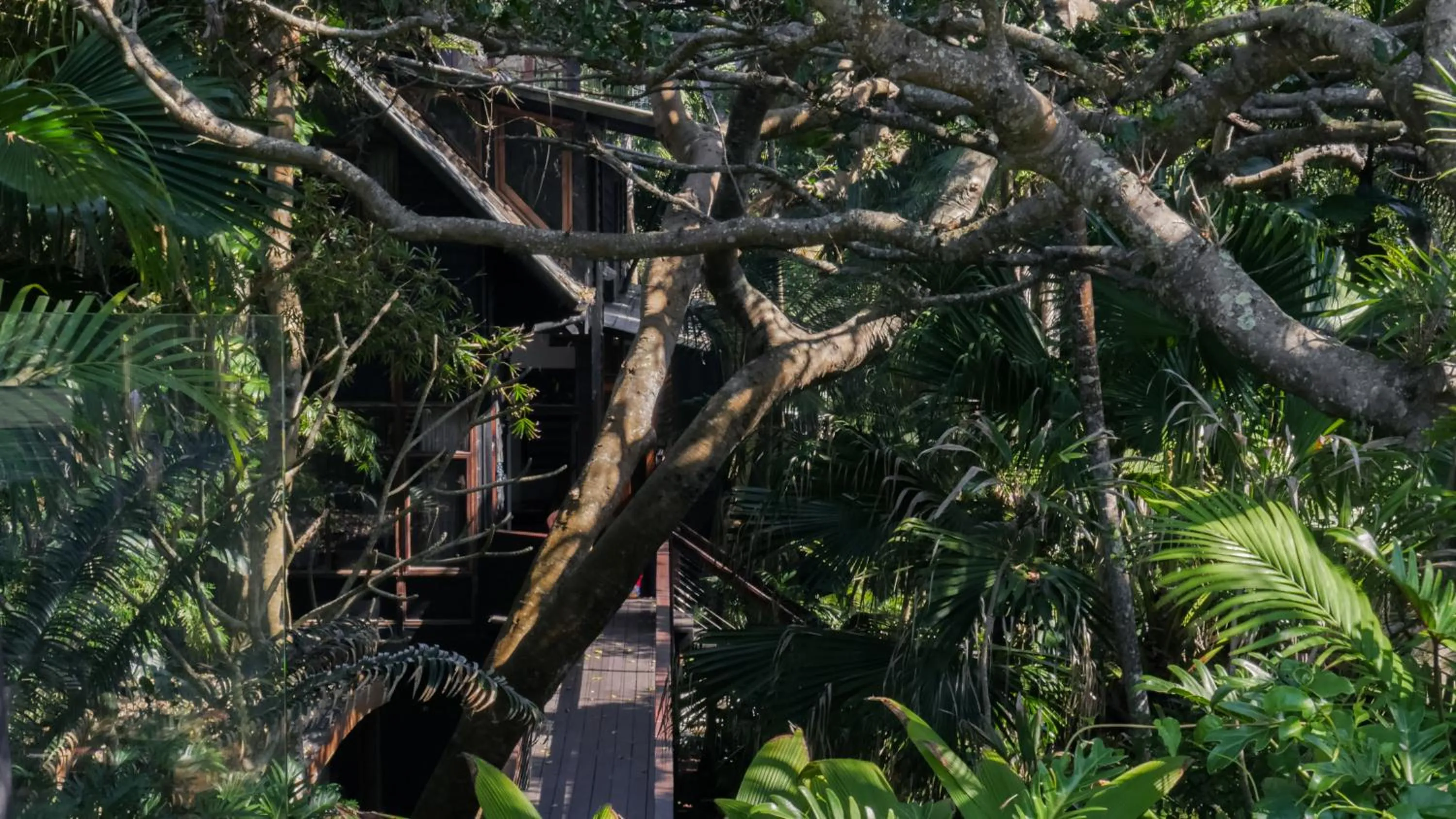 Garden in Shambhala @ Byron