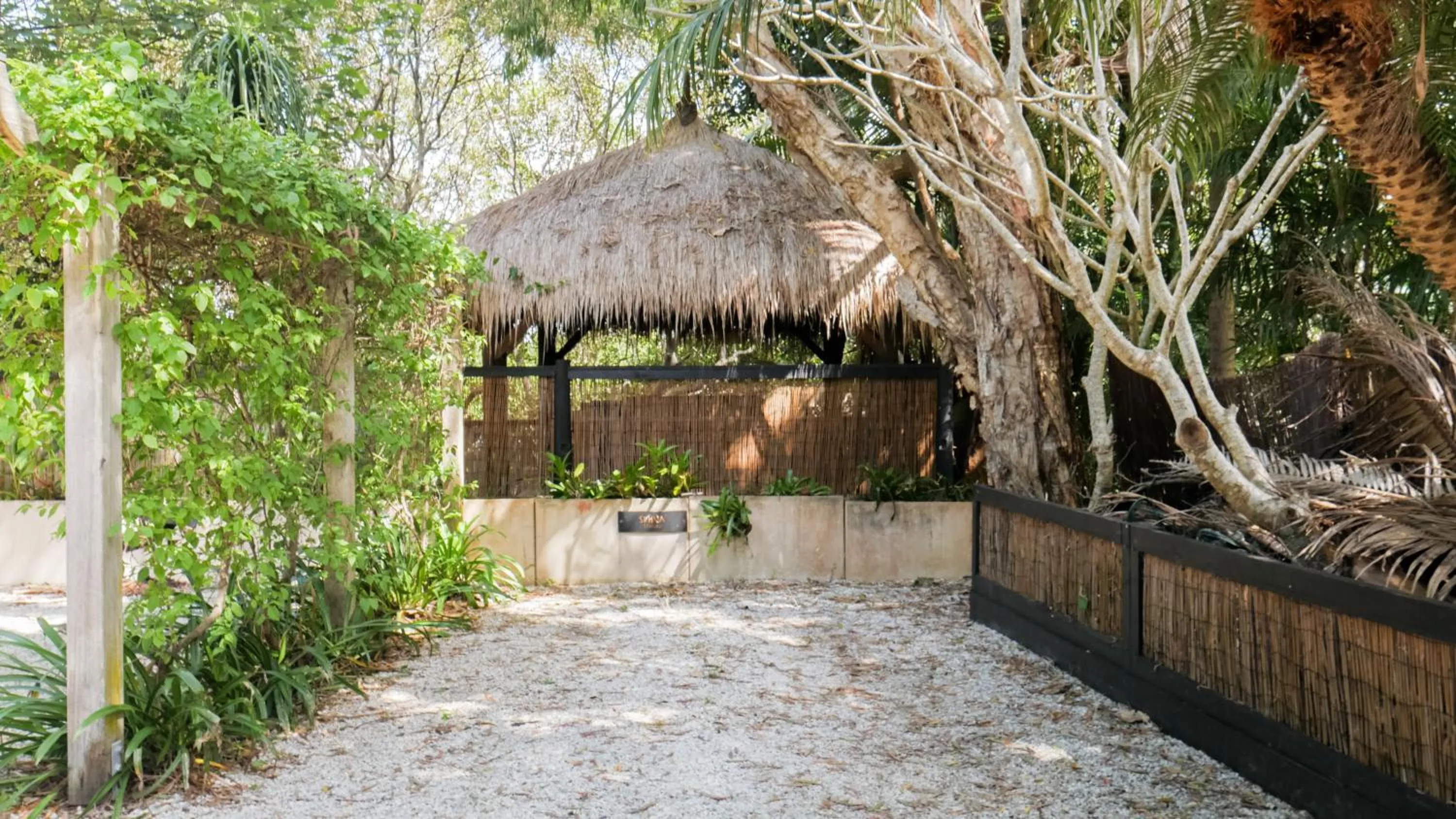 Parking in Shambhala @ Byron