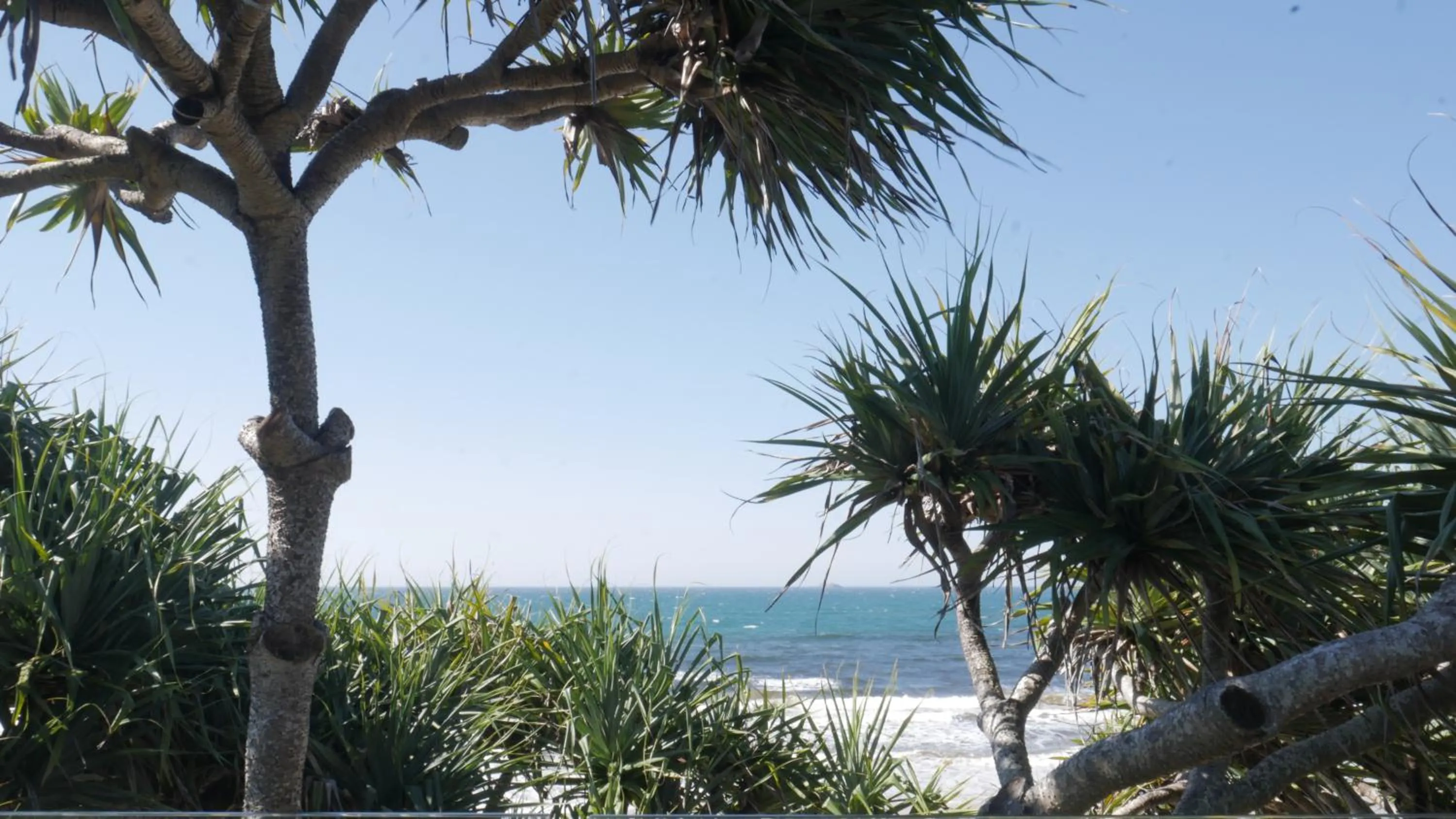 Beach in Shambhala @ Byron