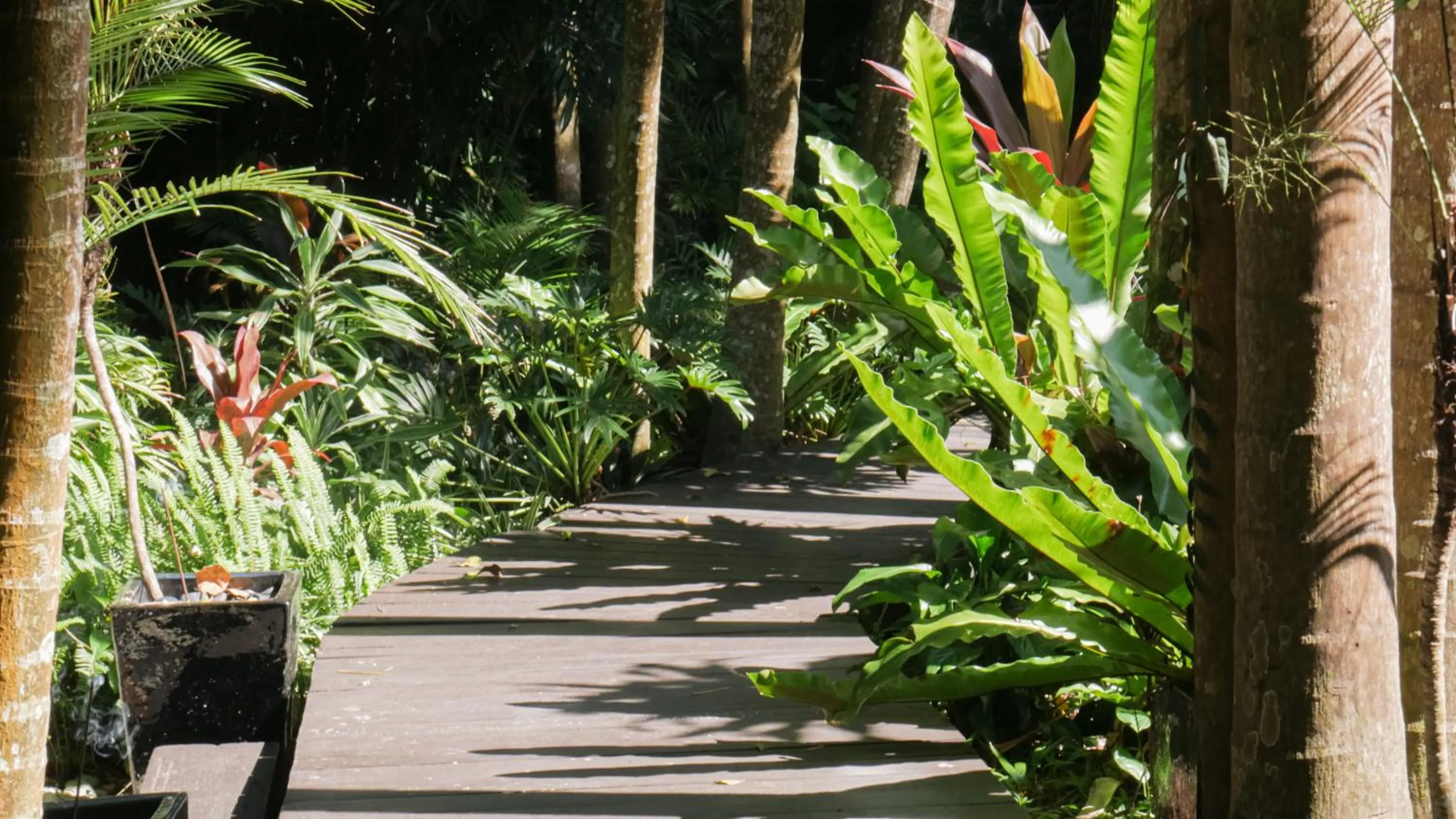 Day in Shambhala @ Byron