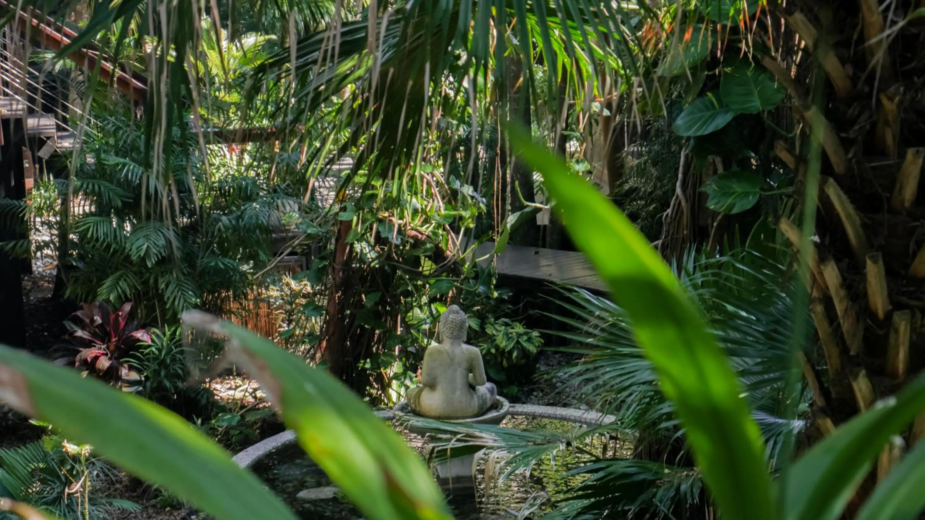 Day in Shambhala @ Byron