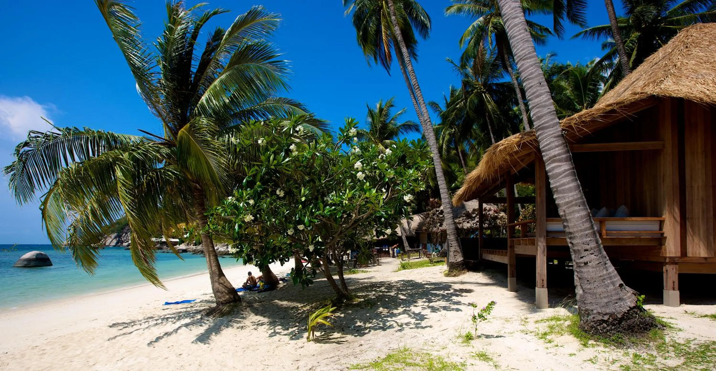 Nearby landmark in Luxury 2 Bedroom Bahia Principe Condo
