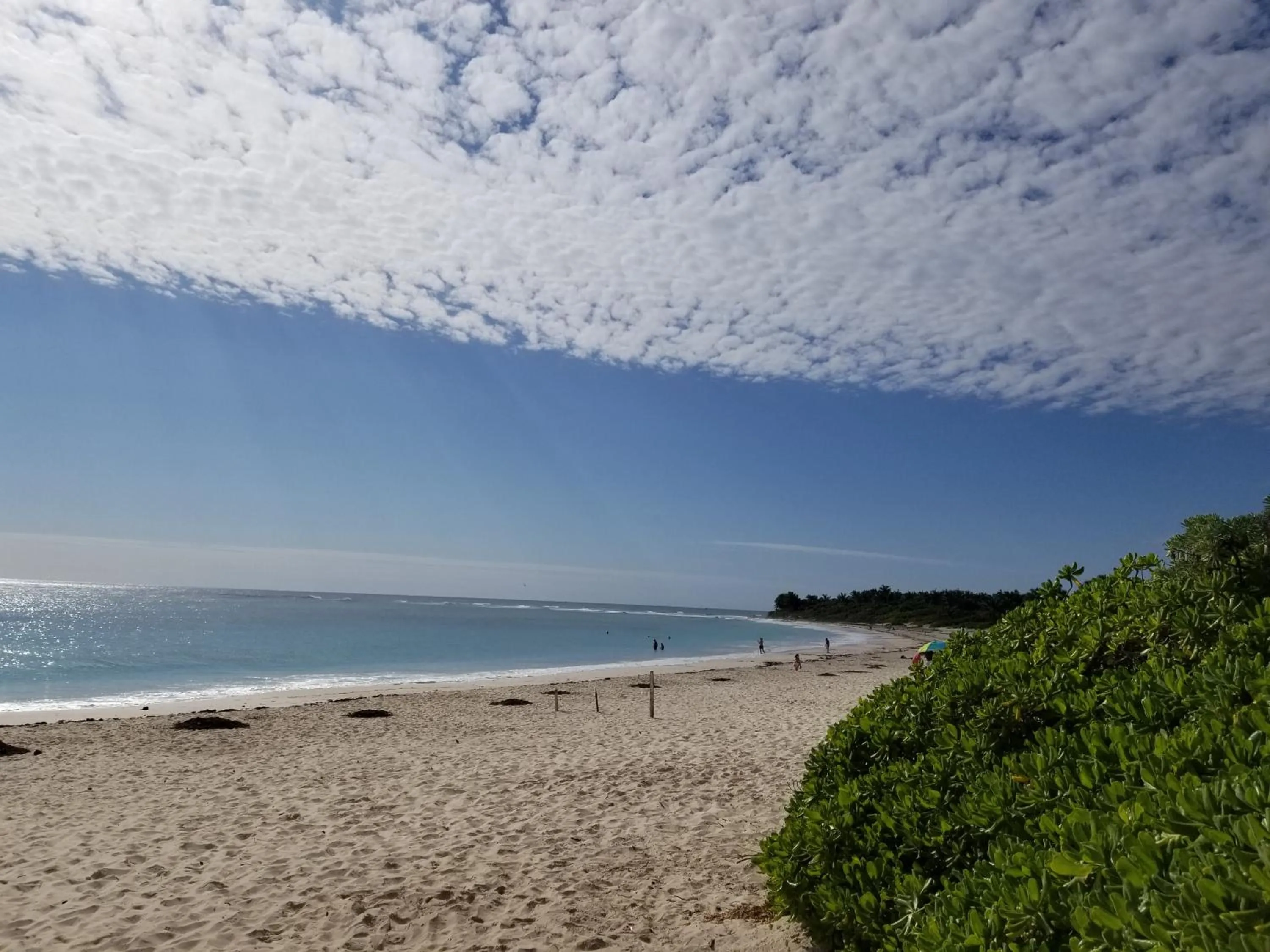 Nearby landmark in Luxury 2 Bedroom Bahia Principe Condo