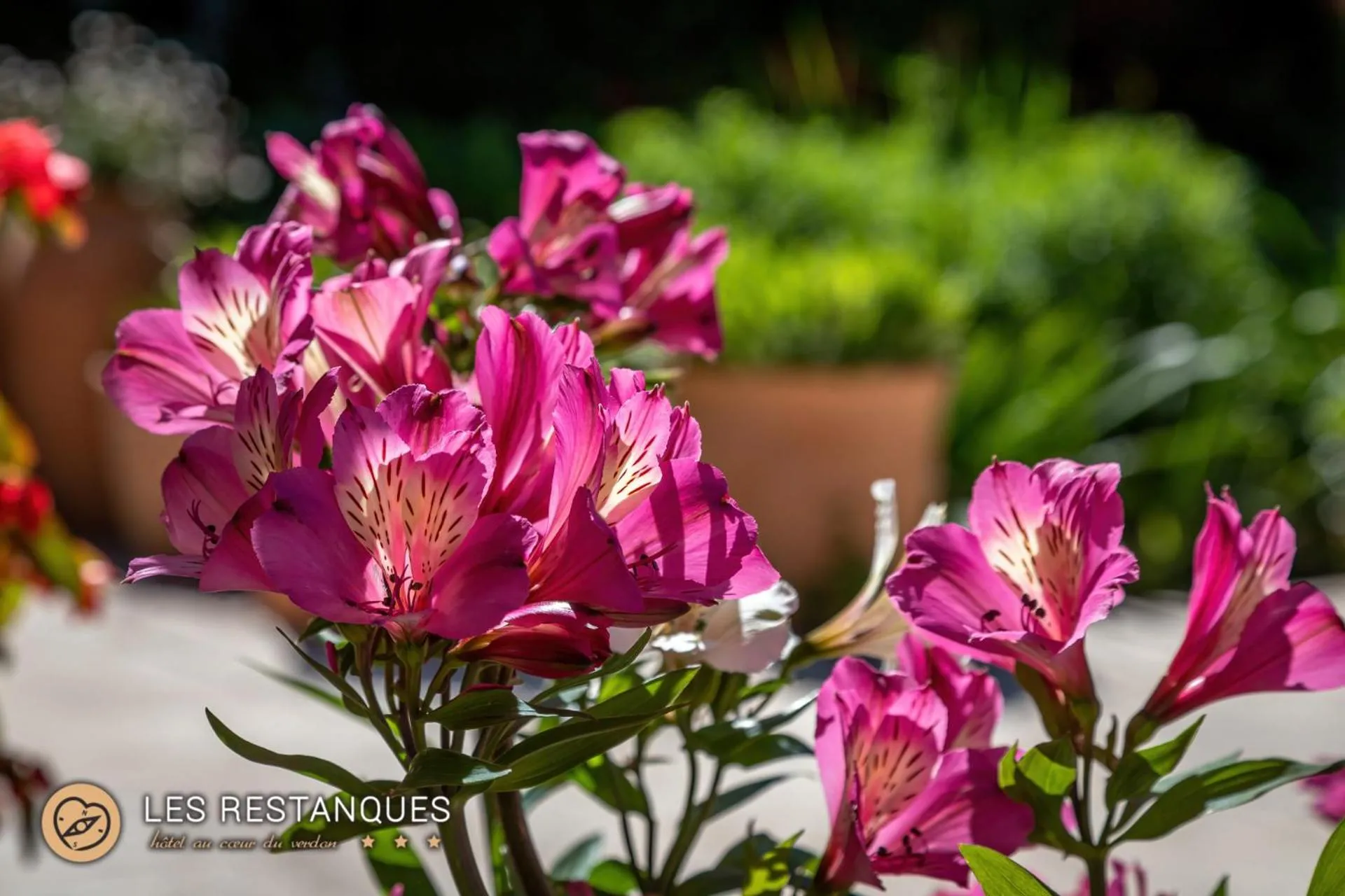 Garden in Hotel Les Restanques De Moustiers
