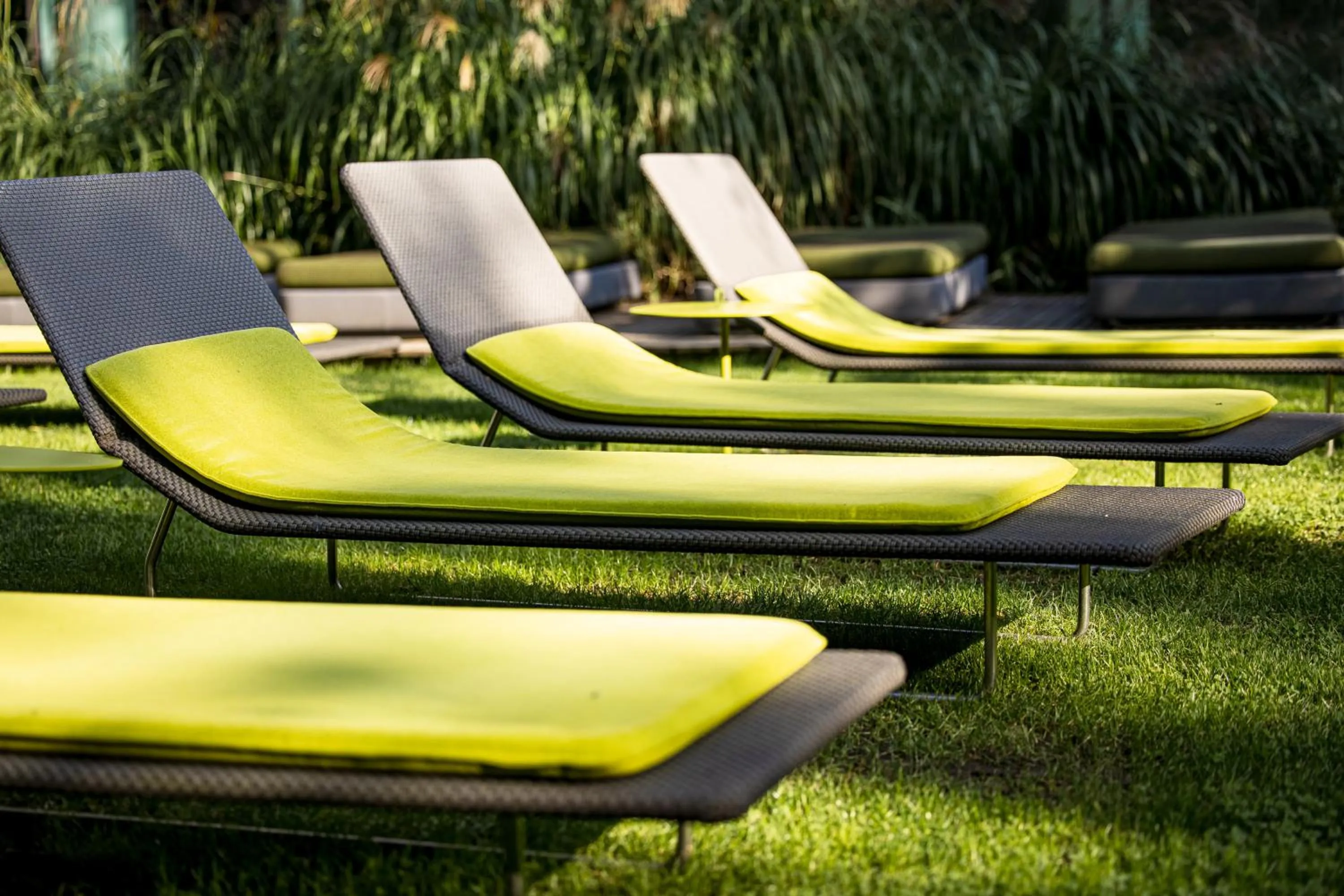 Natural landscape in Palanga Life Balance SPA Hotel