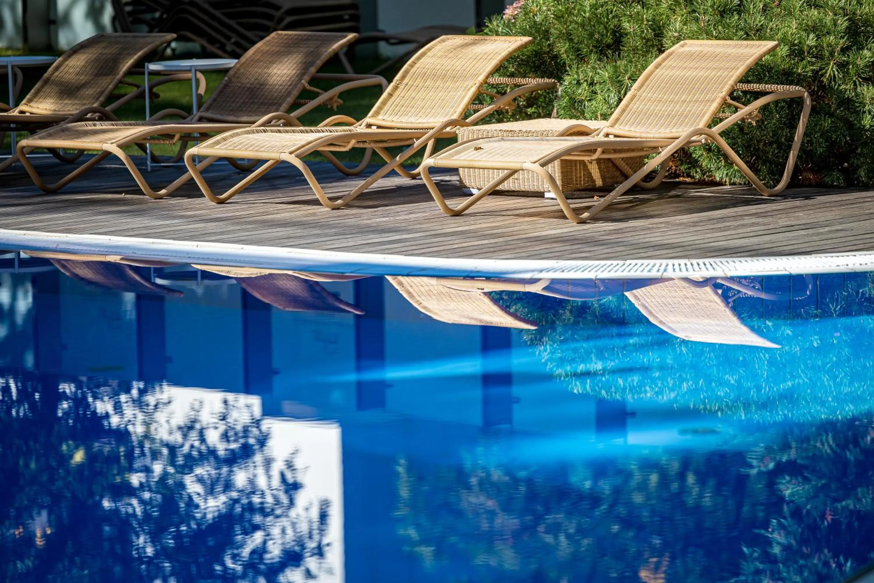 Pool view in Palanga Life Balance SPA Hotel