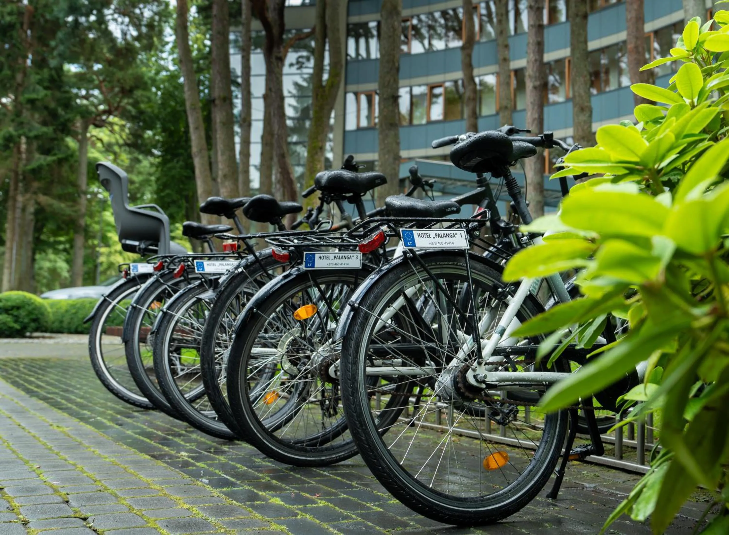 Palanga Life Balance SPA Hotel