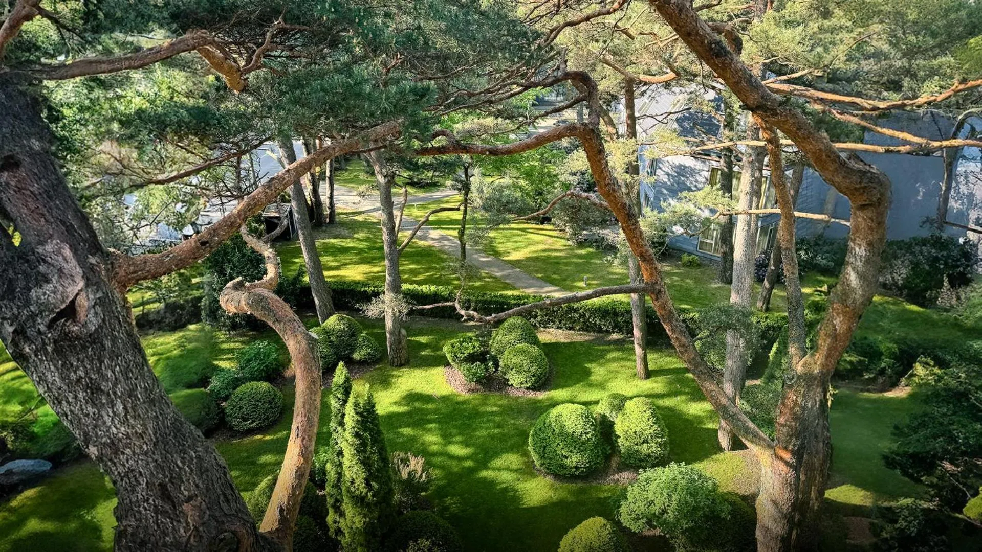 Natural landscape in Palanga Life Balance SPA Hotel