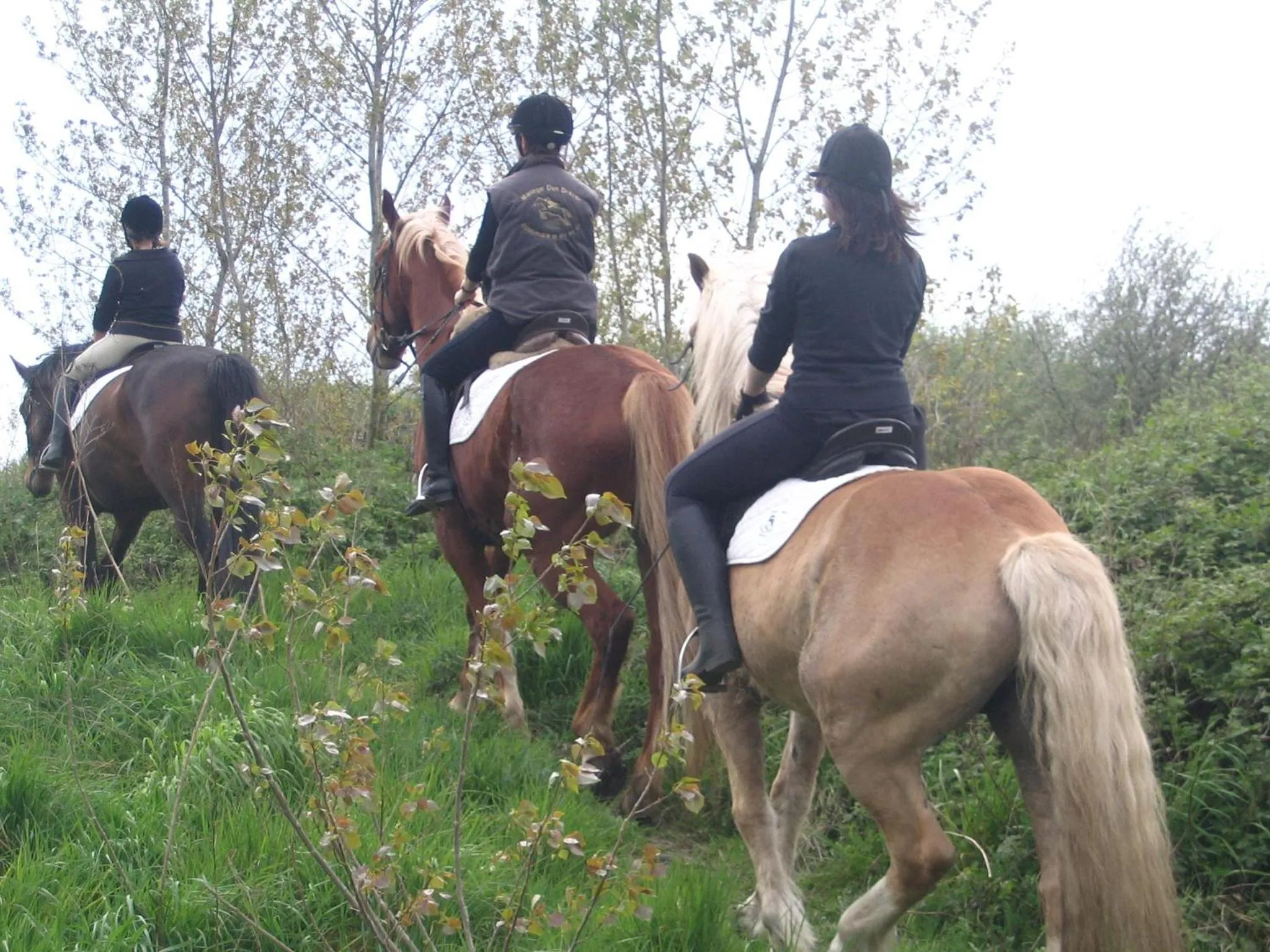 Area and facilities in B&B Sogni d'oro