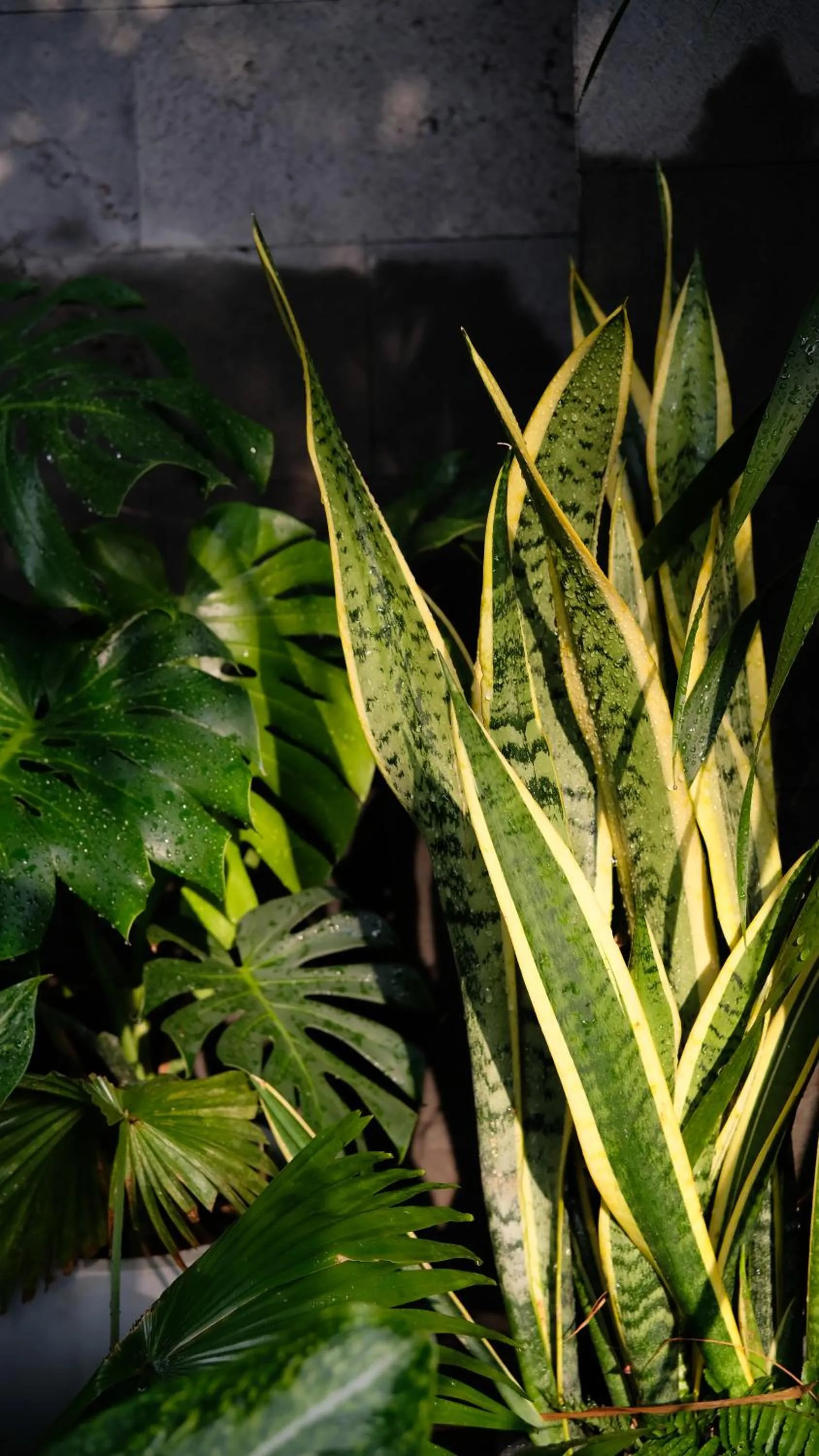 Lobby or reception in Marilyn Boutique Hotel Nha Trang
