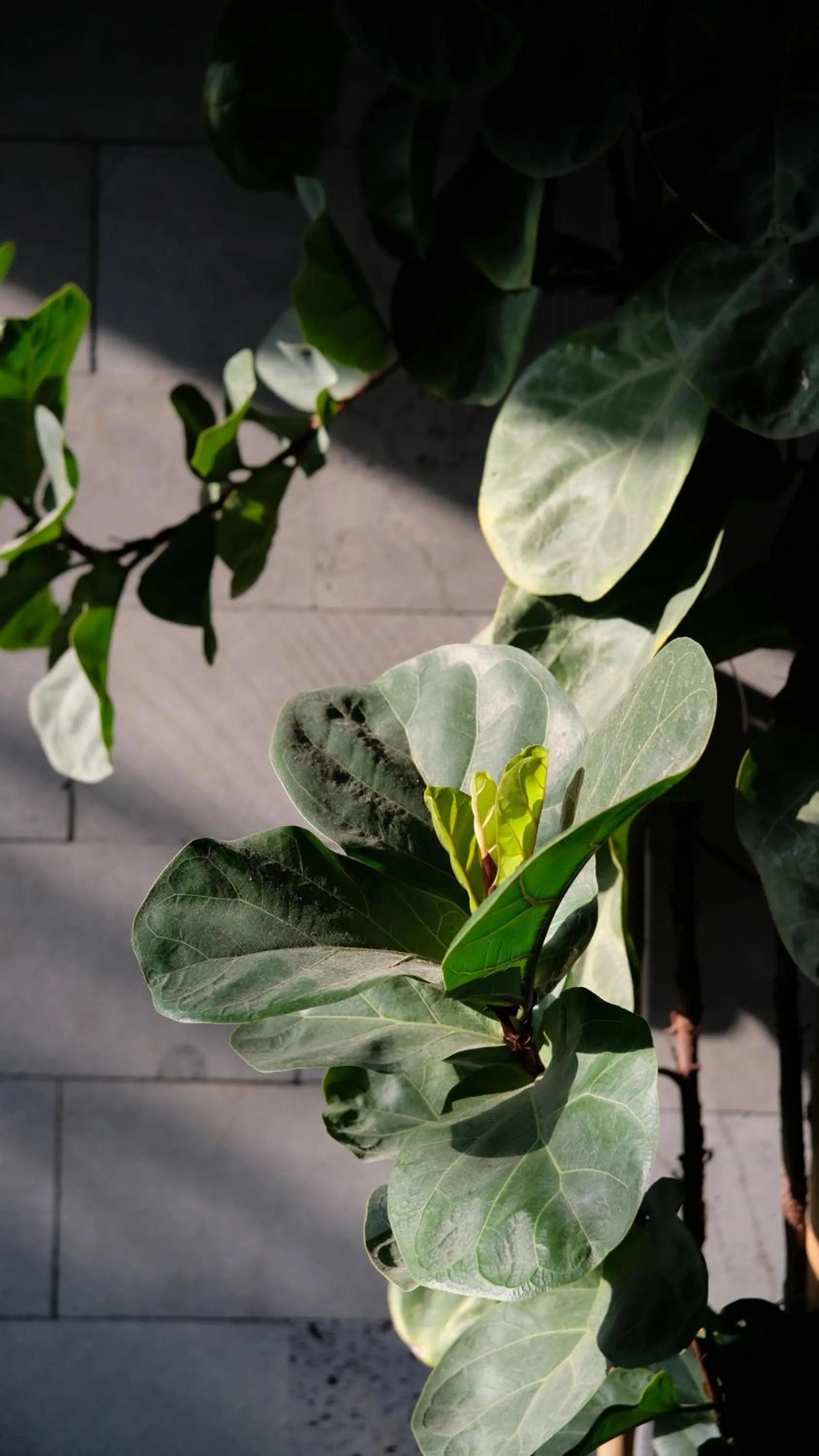 Lobby or reception in Marilyn Boutique Hotel Nha Trang