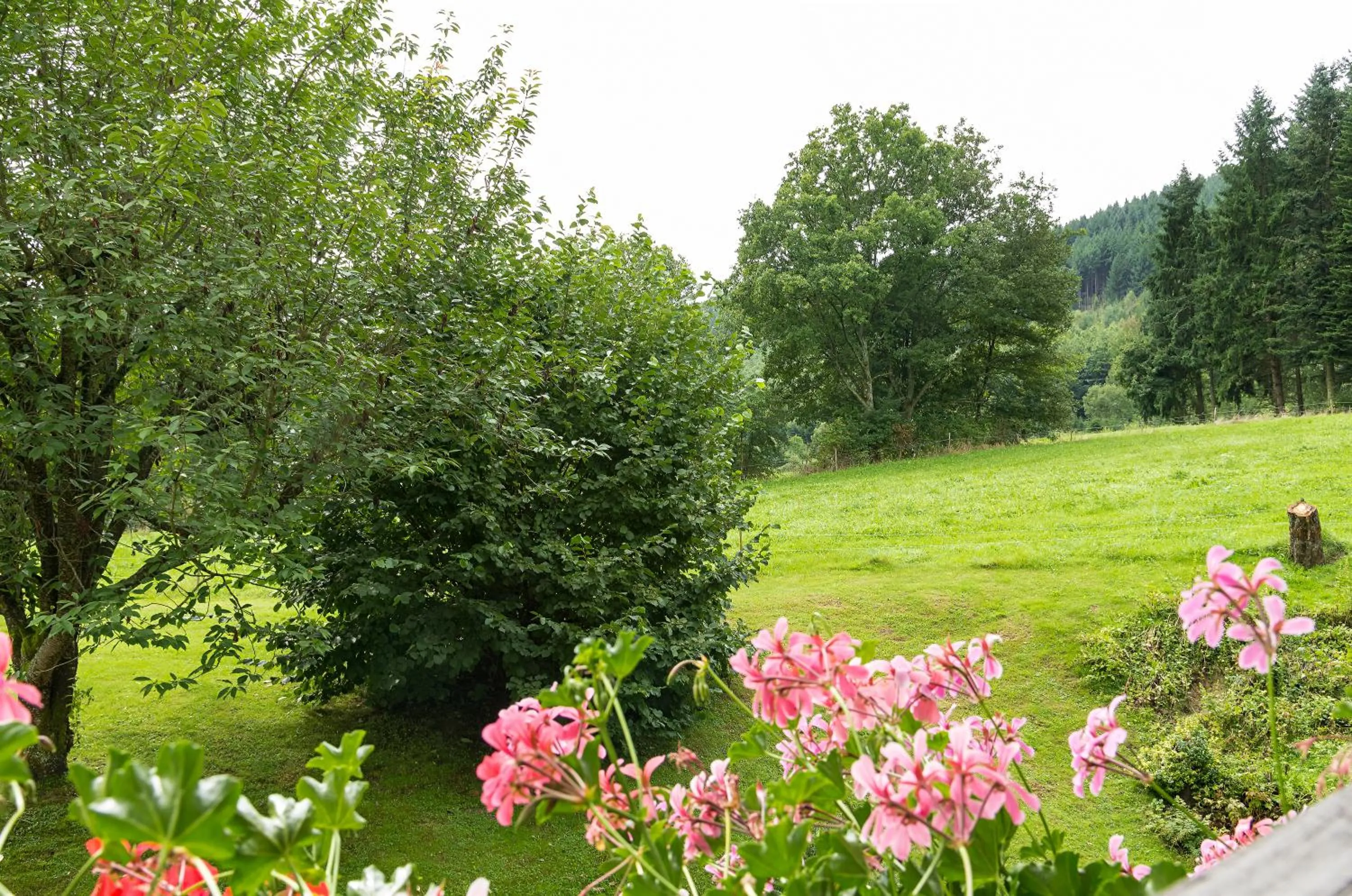 Natural landscape in Gasthof & Landhotel Ohrnbachtal