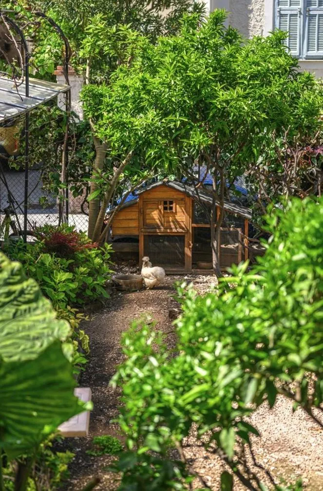 Double Room with Garden View in Hotel De La Darse