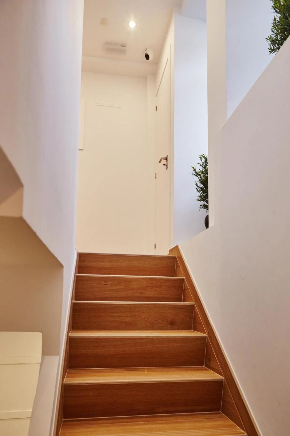Apartamentos Orfas