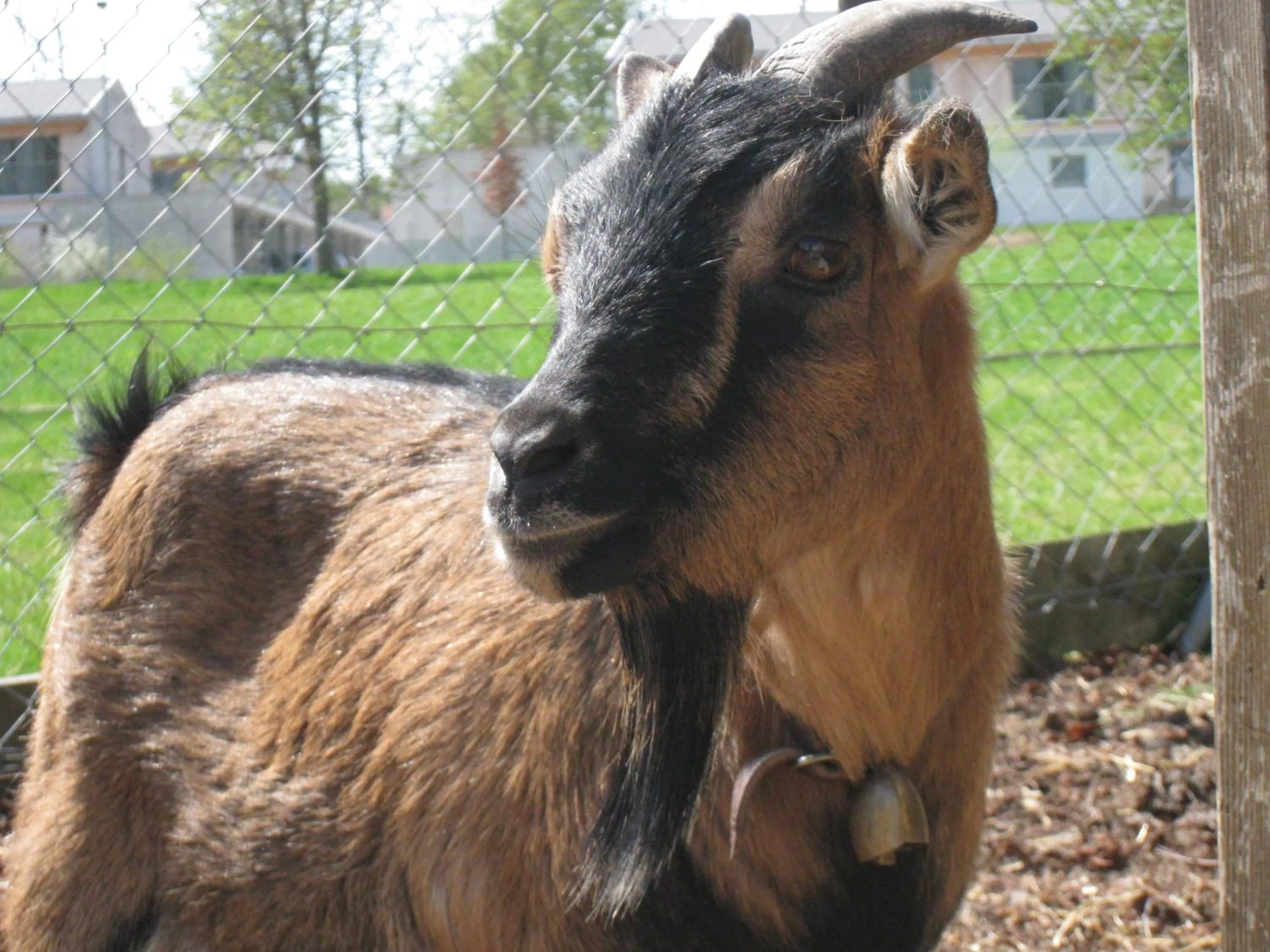 Children play ground in Hotel Gibswilerstube