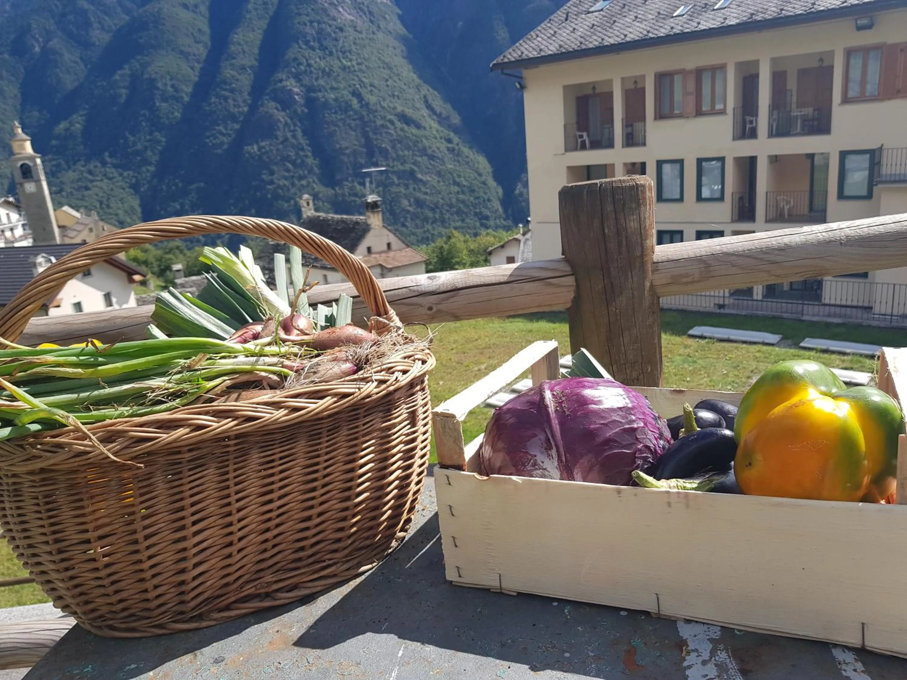 Food in Hotel Belvedere Wellness&SPA