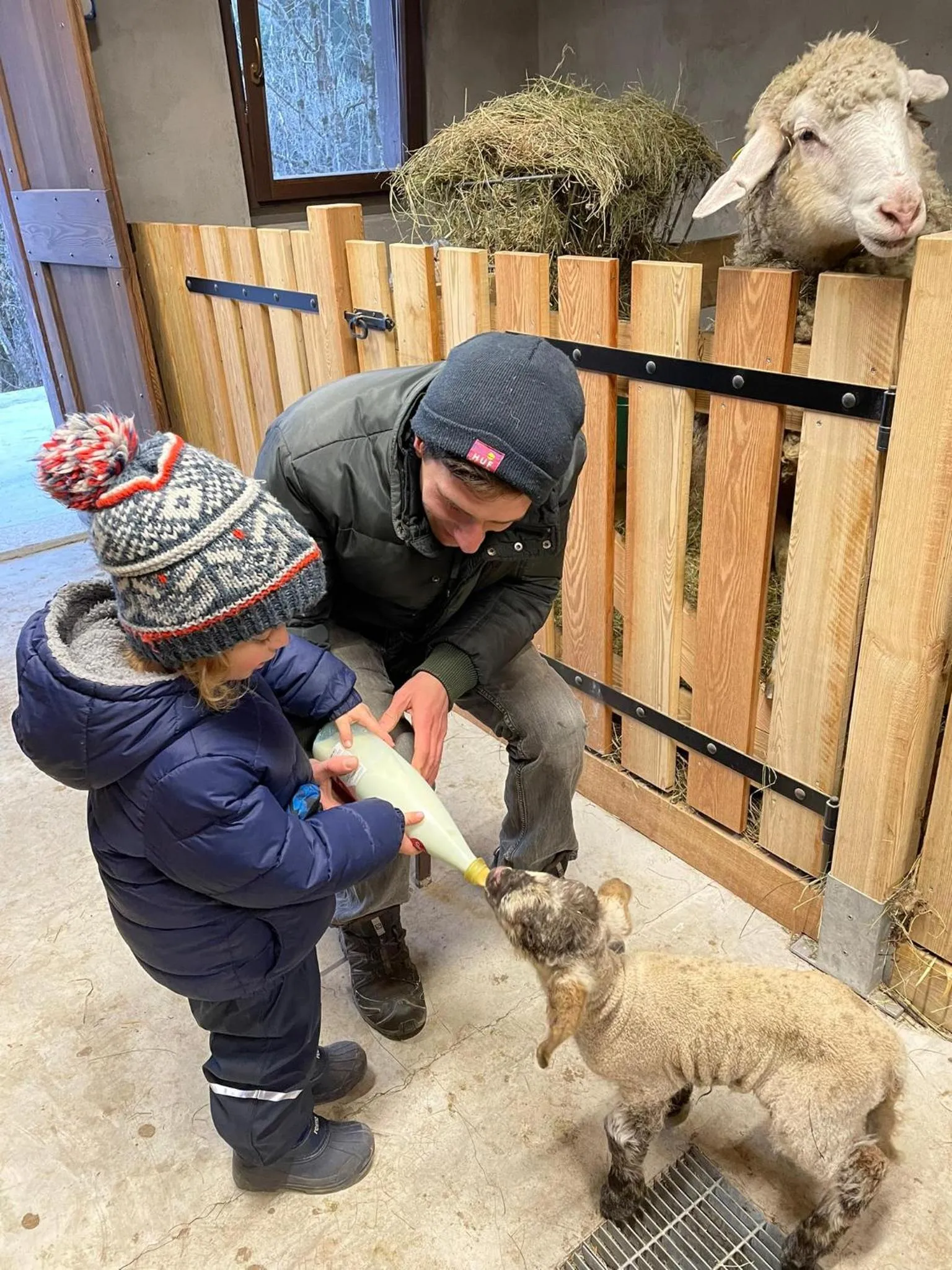 Animals in Hotel Belvedere Wellness&SPA