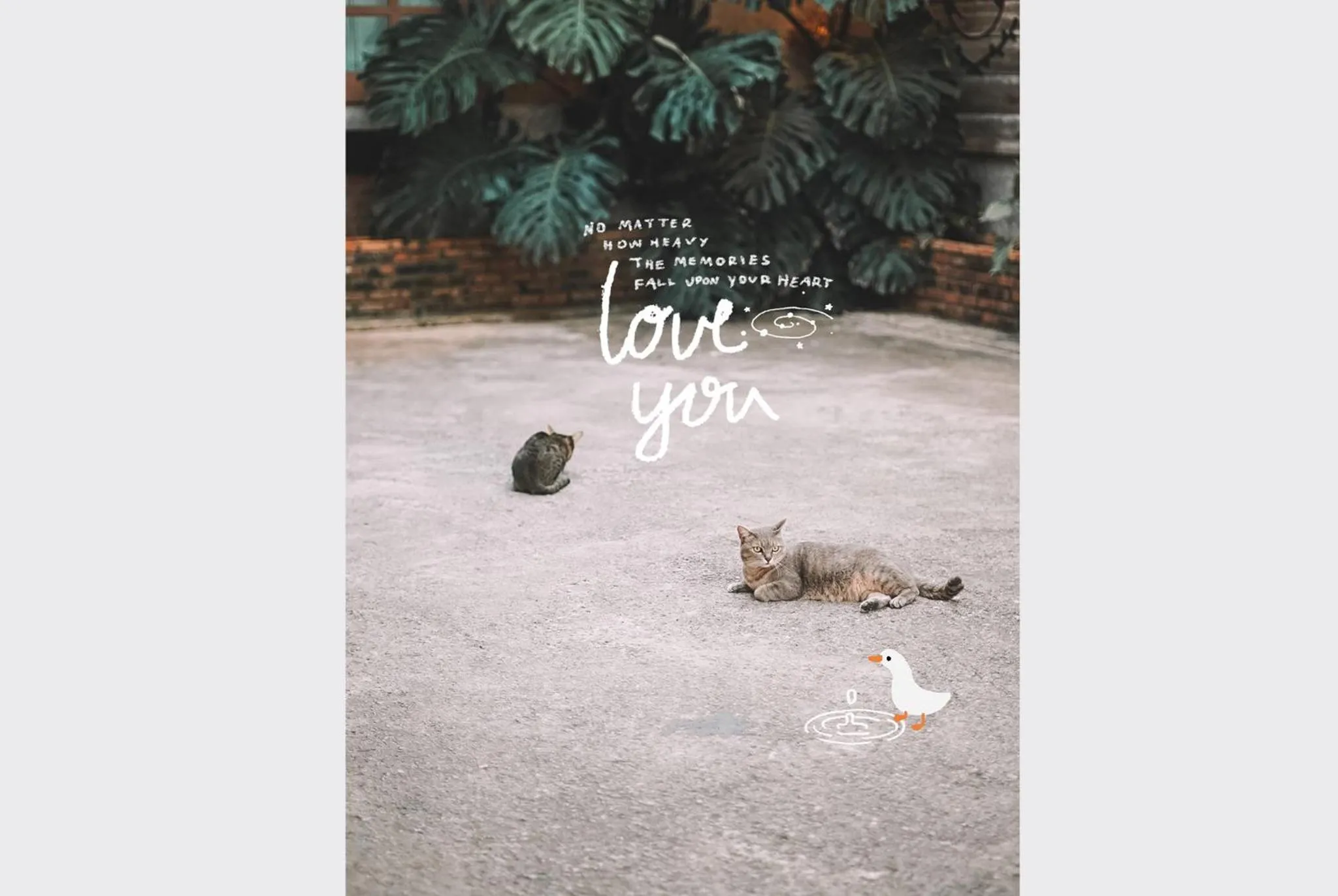 Staff in Sleepy House Chiang Rai