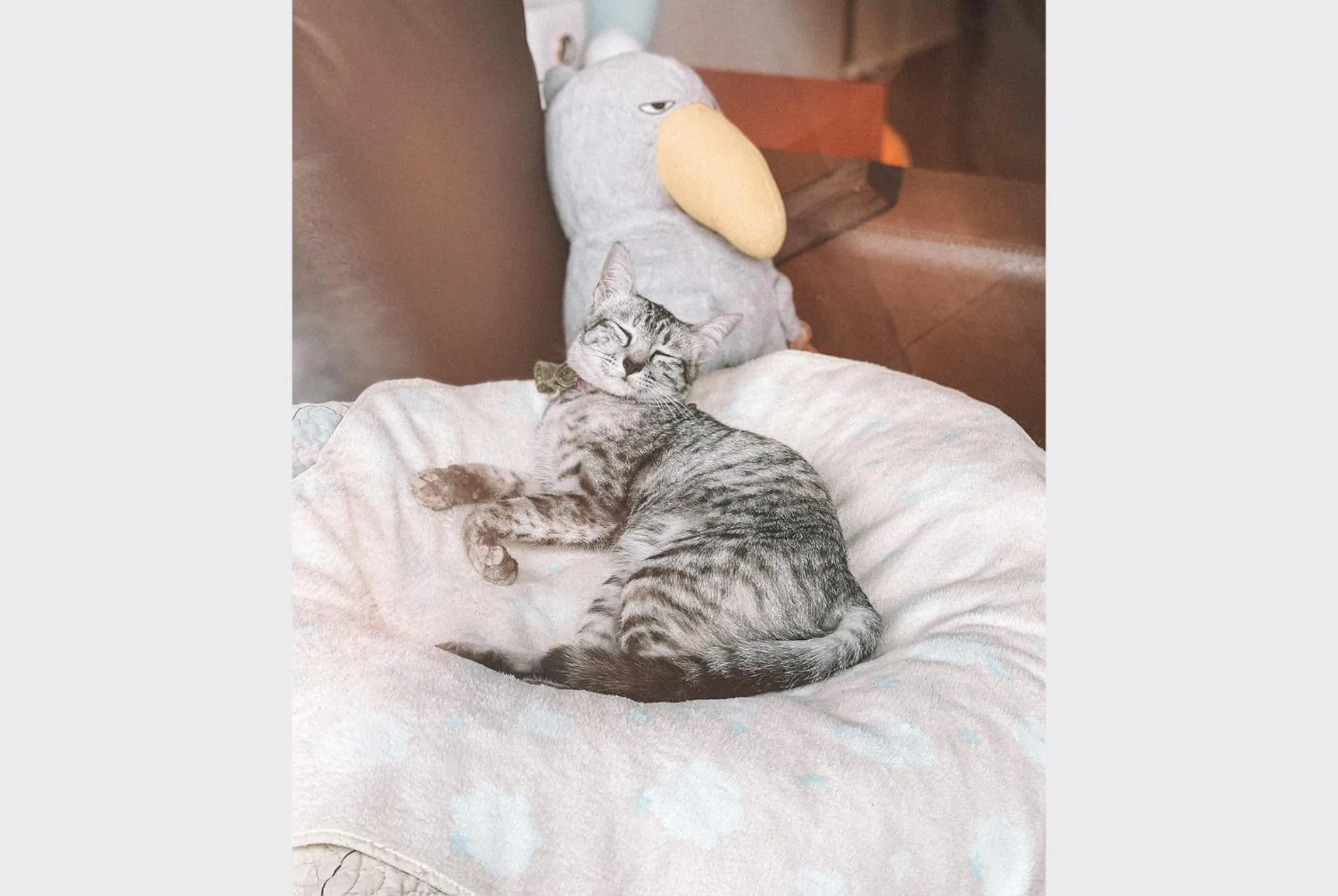 Staff in Sleepy House Chiang Rai