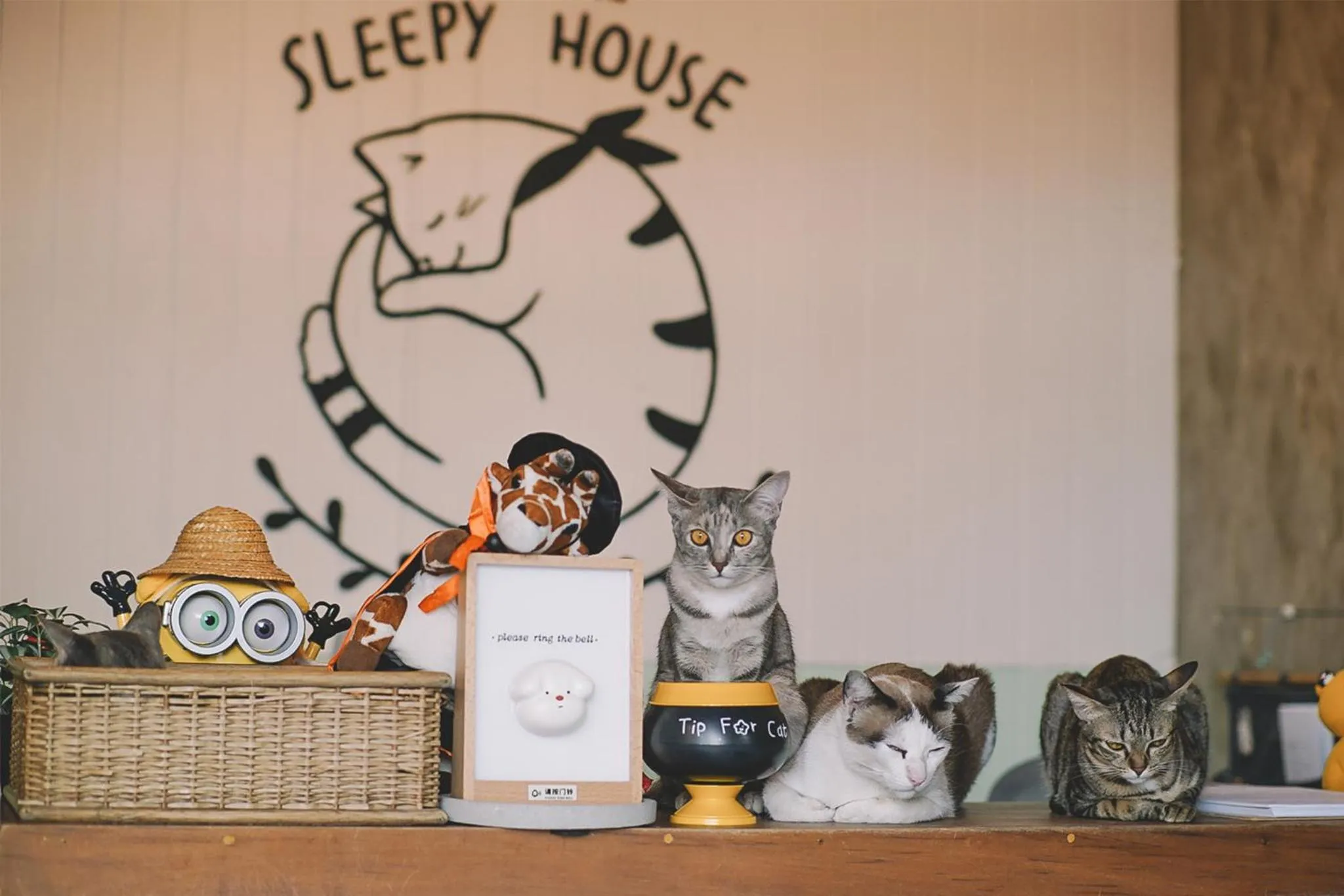 Staff in Sleepy House Chiang Rai