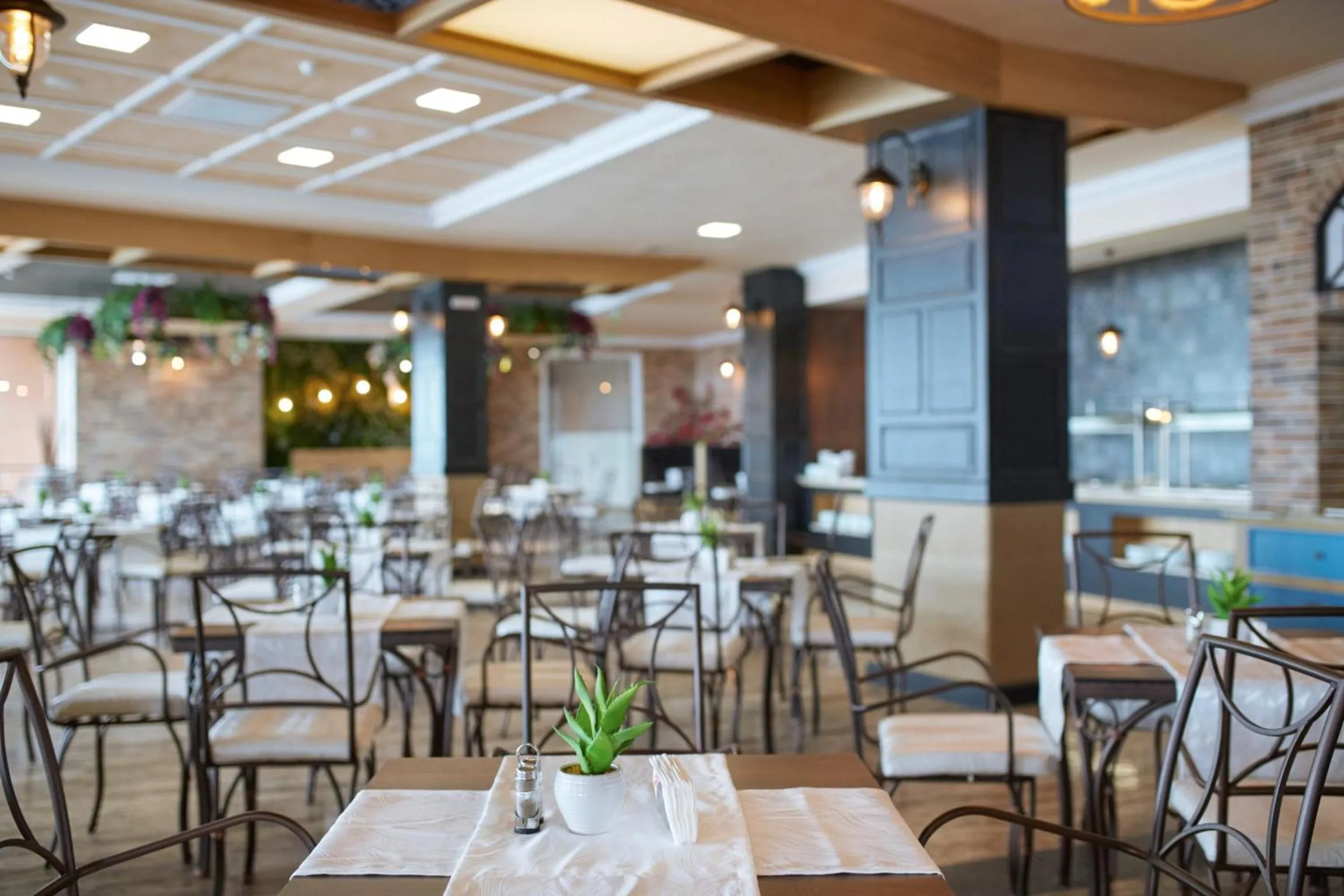 Restaurant/places to eat in Paradise Beach Residence - Ultra All Inclusive