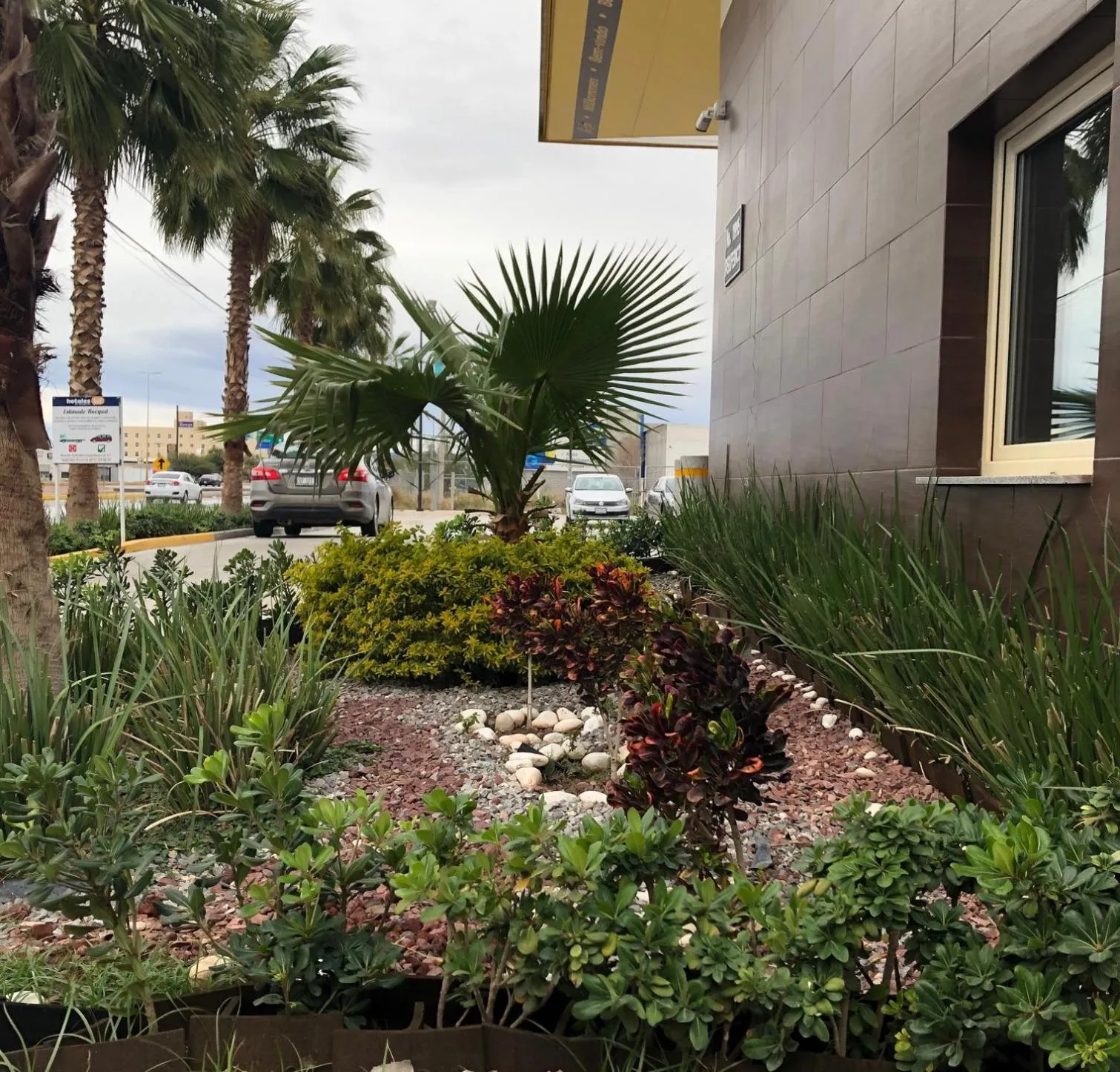 Garden in Hotel Hi ! Torreon Aeropuerto-Galerías