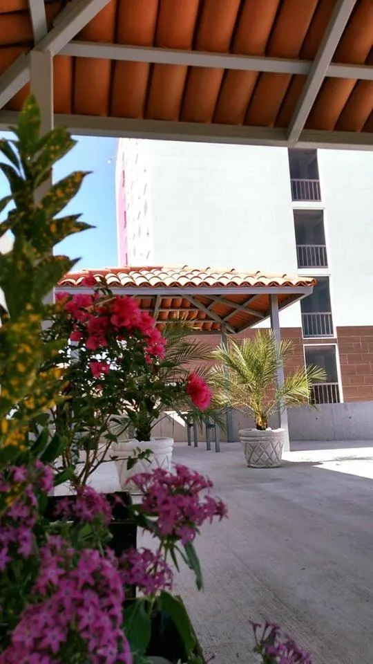 Garden view in Hotel Hi ! Torreon Aeropuerto-Galerías