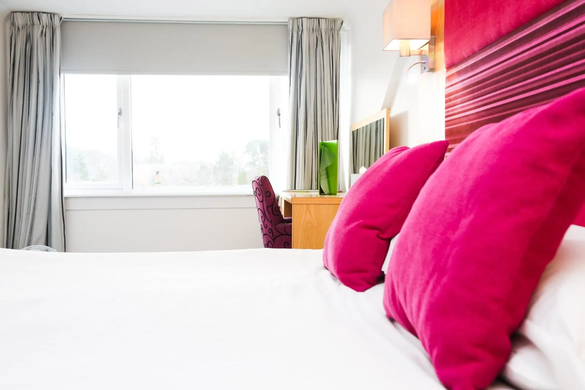 Bed in ClubHouse B& B