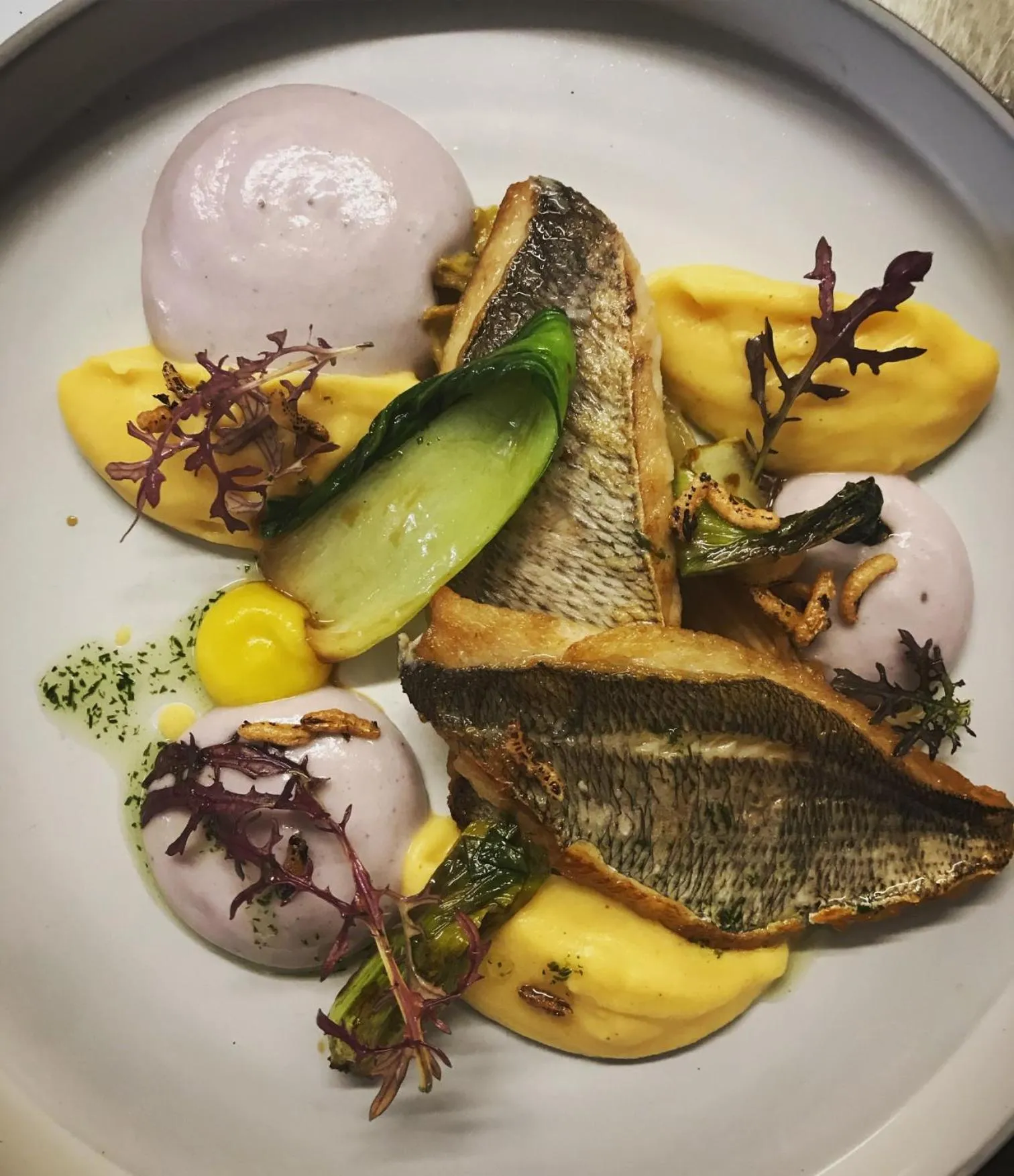 Food in Logis Hôtel L'Ayguelade