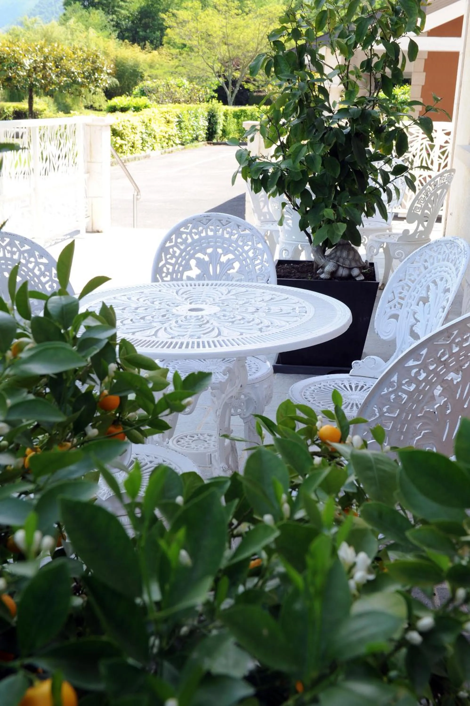 Patio in Logis Hôtel L'Ayguelade