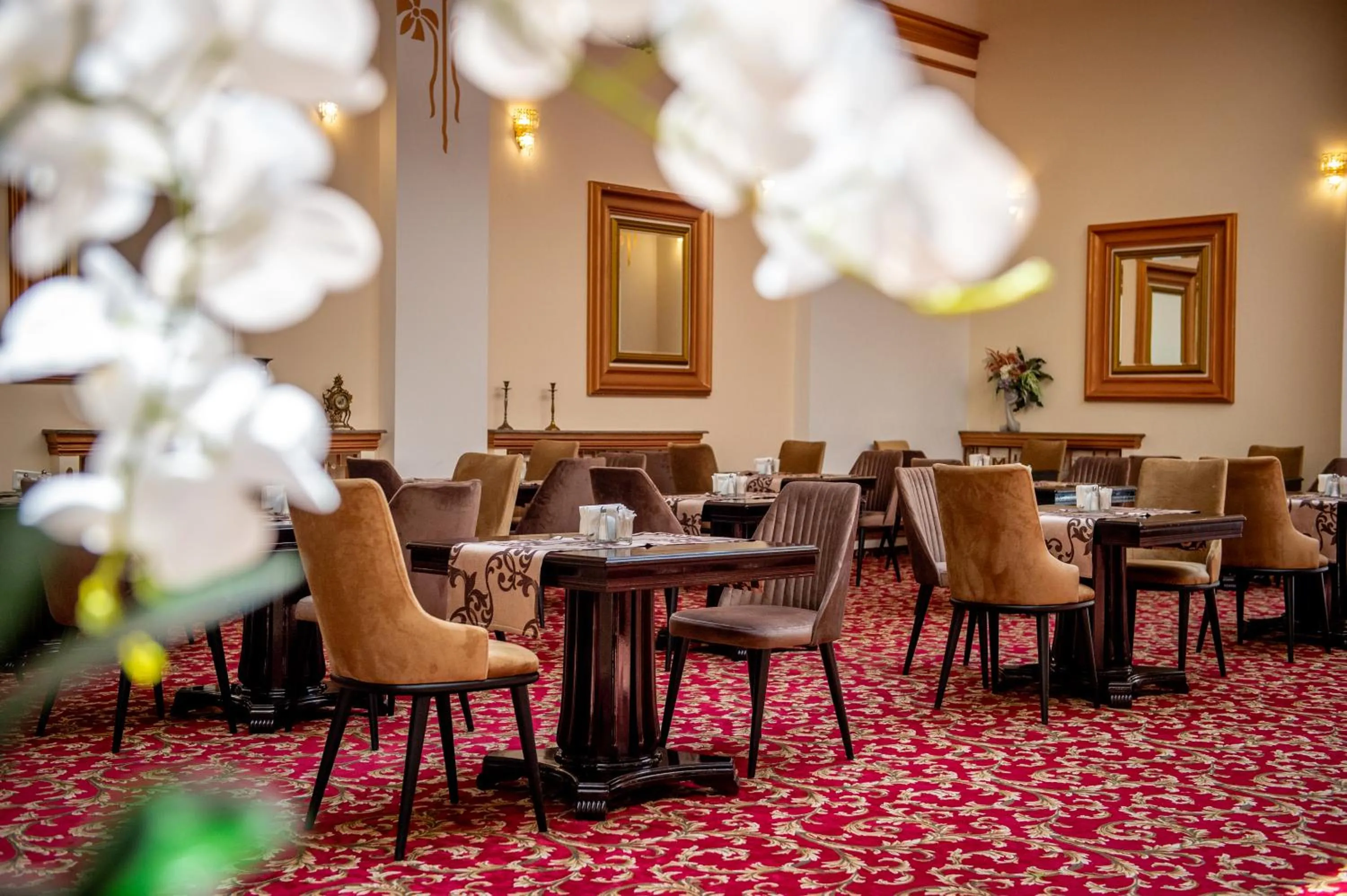 Restaurant/places to eat in Hotel Del Mar & Conference Center