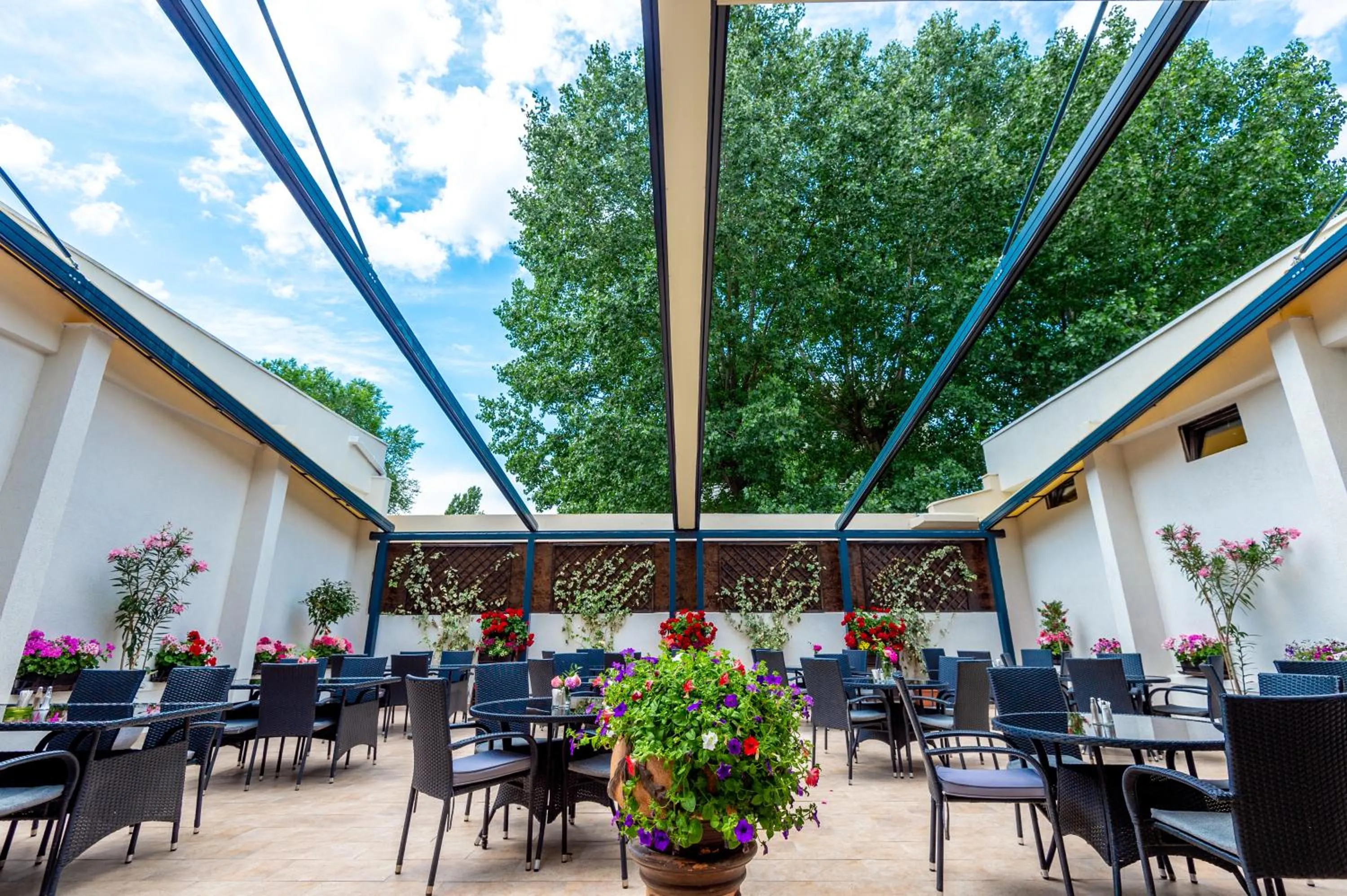 Garden in Hotel Del Mar & Conference Center