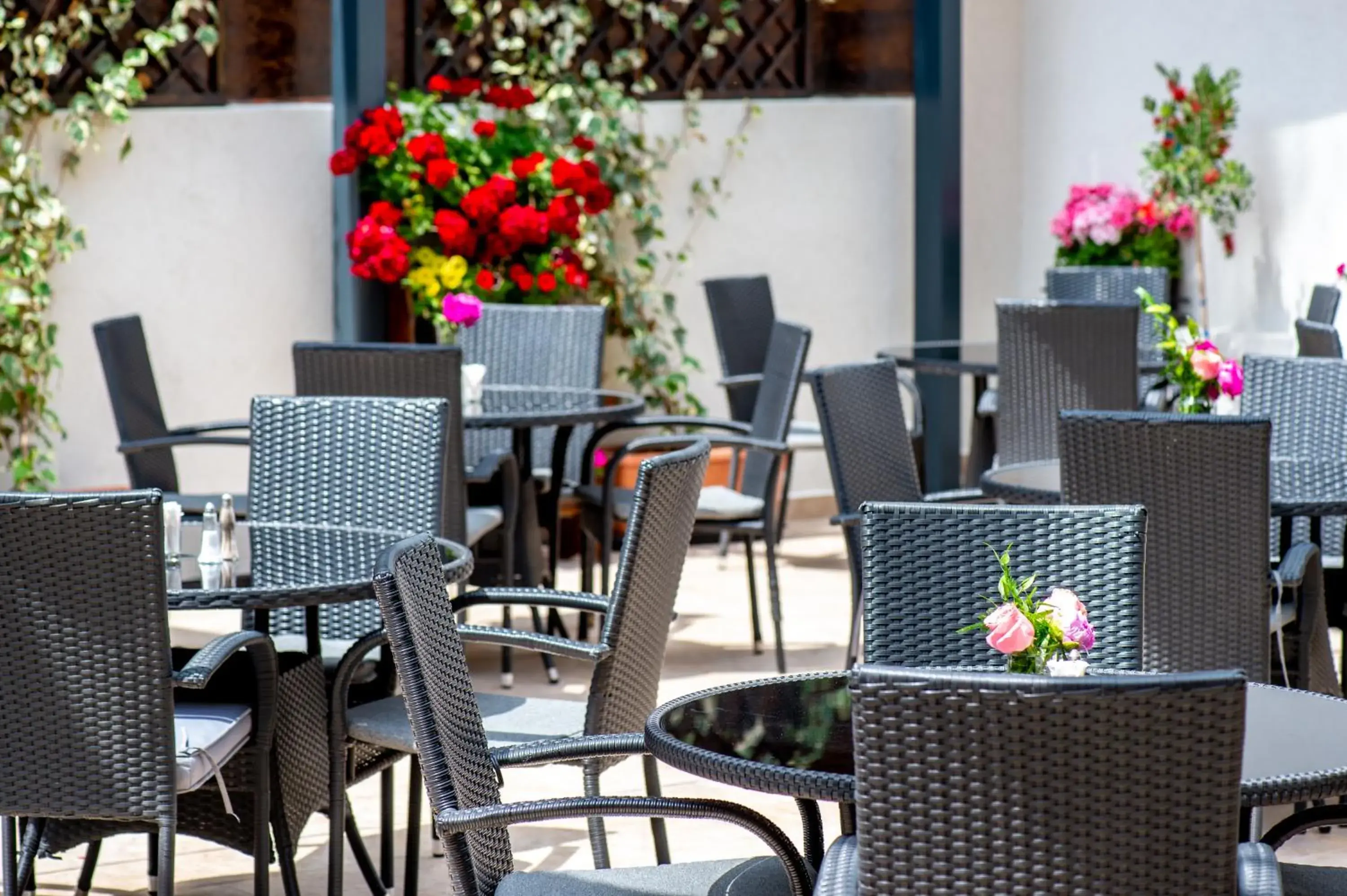 Restaurant/places to eat in Hotel Del Mar & Conference Center Restaurant/places to eat in Hotel Del Mar & Conference Center