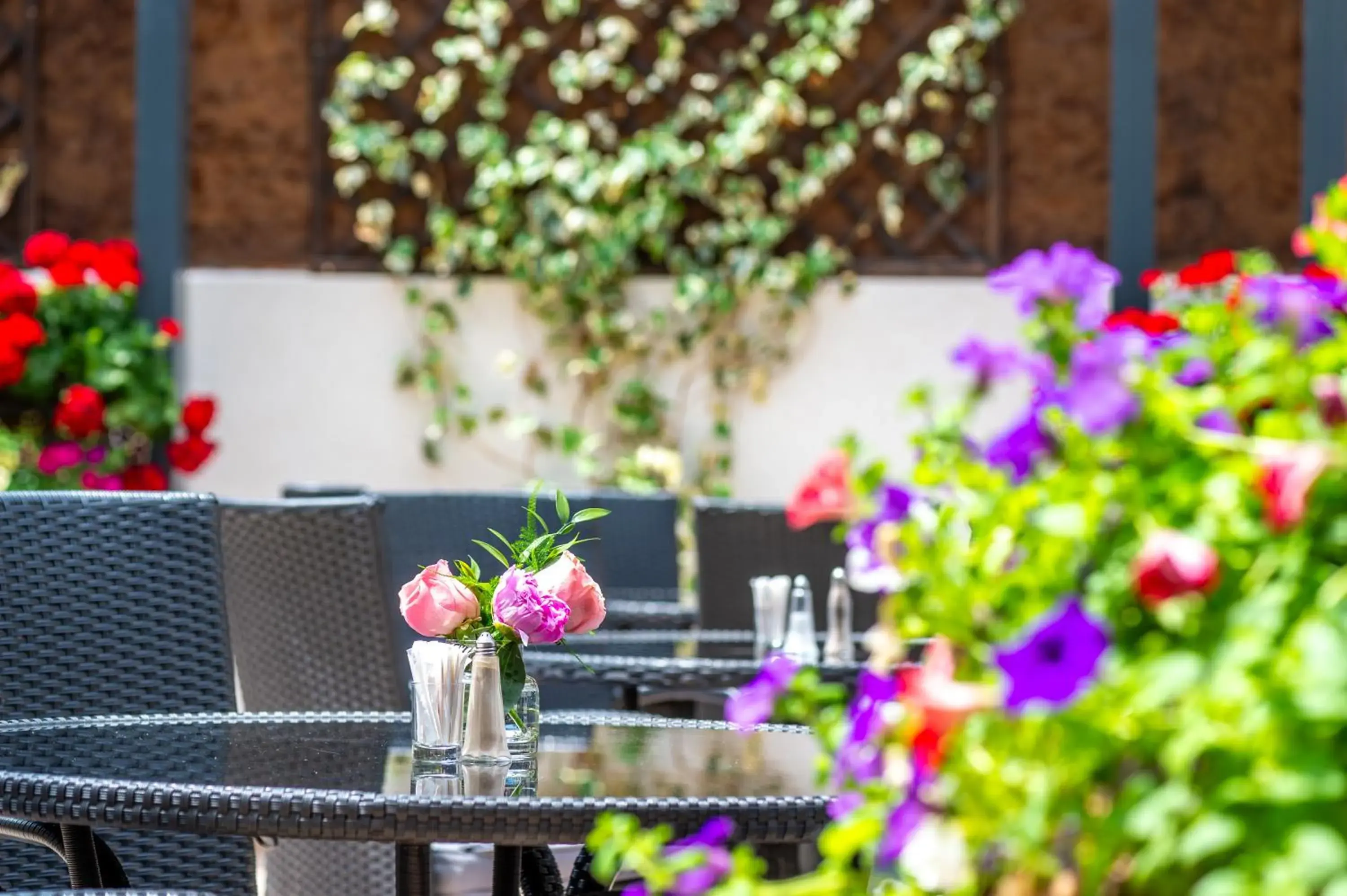 Restaurant/places to eat in Hotel Del Mar & Conference Center Restaurant/places to eat in Hotel Del Mar & Conference Center