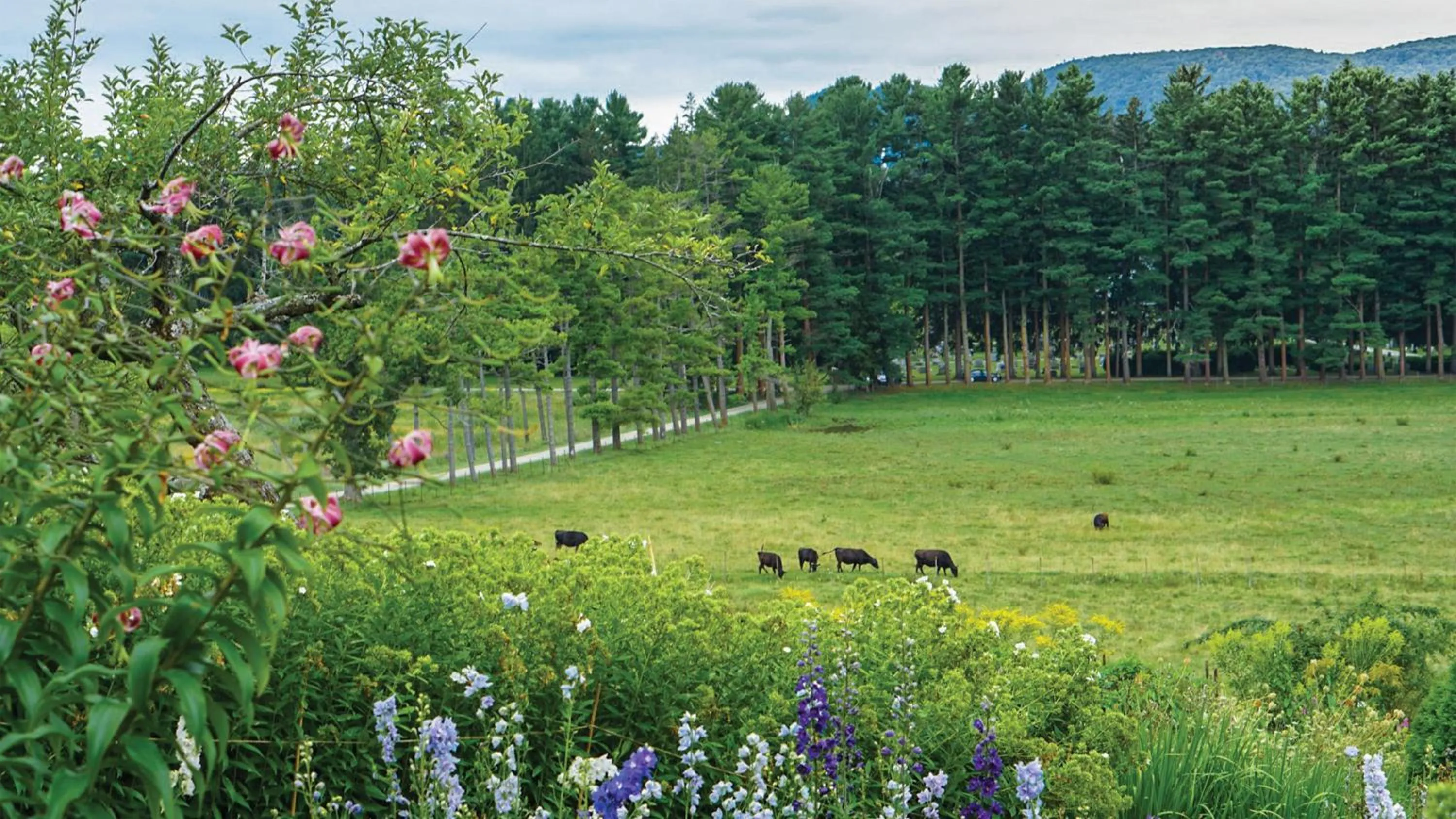 Nearby landmark in Holiday Inn Express & Suites Pittsfield-Lenox-Berkshires by IHG