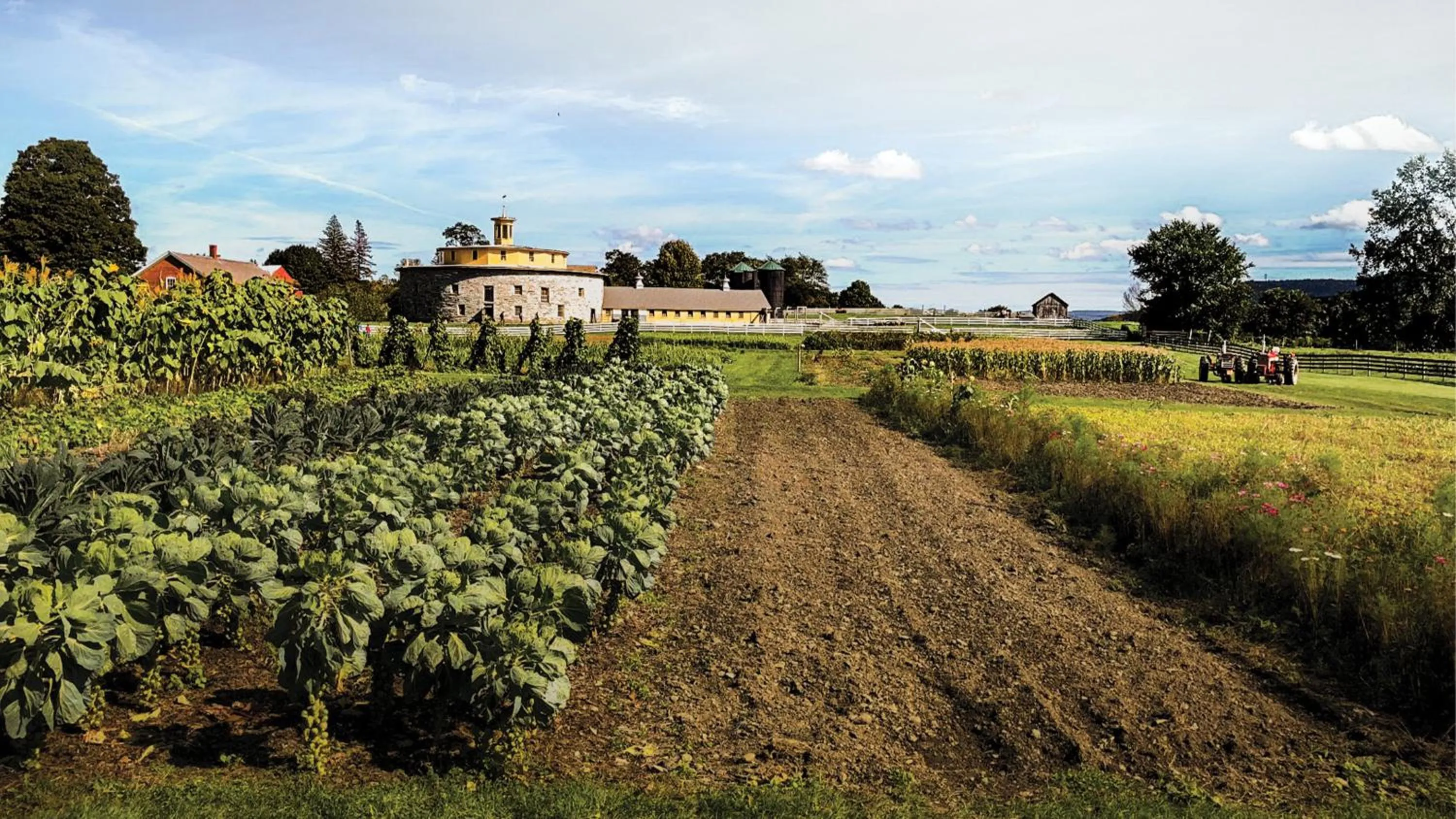 Nearby landmark in Holiday Inn Express & Suites Pittsfield-Lenox-Berkshires by IHG