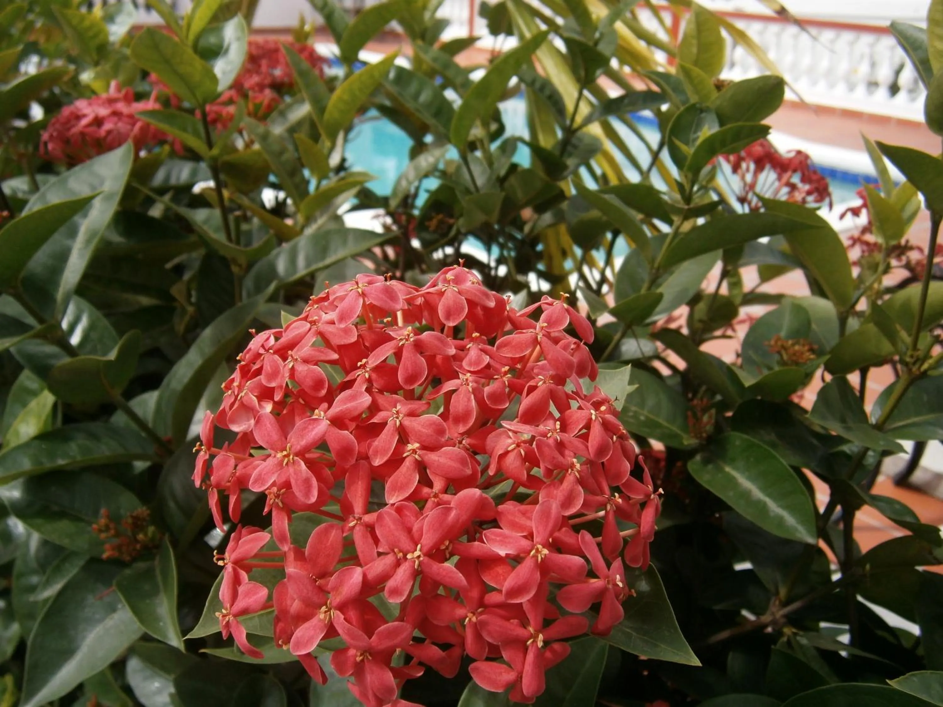 Decorative detail in L'Esperance Hotel