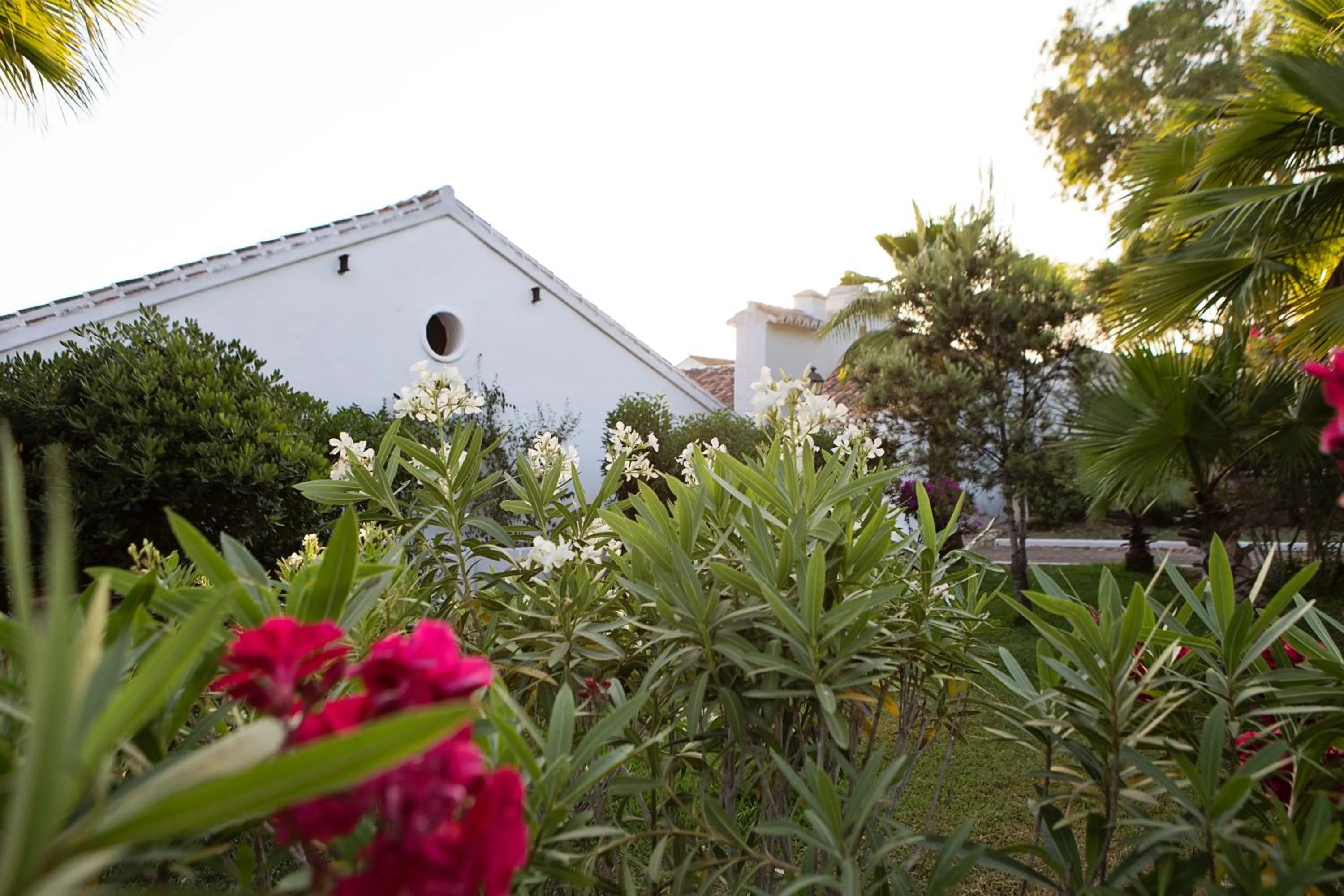 Garden in Hotel Cortijo del Arte - Caminito del Rey