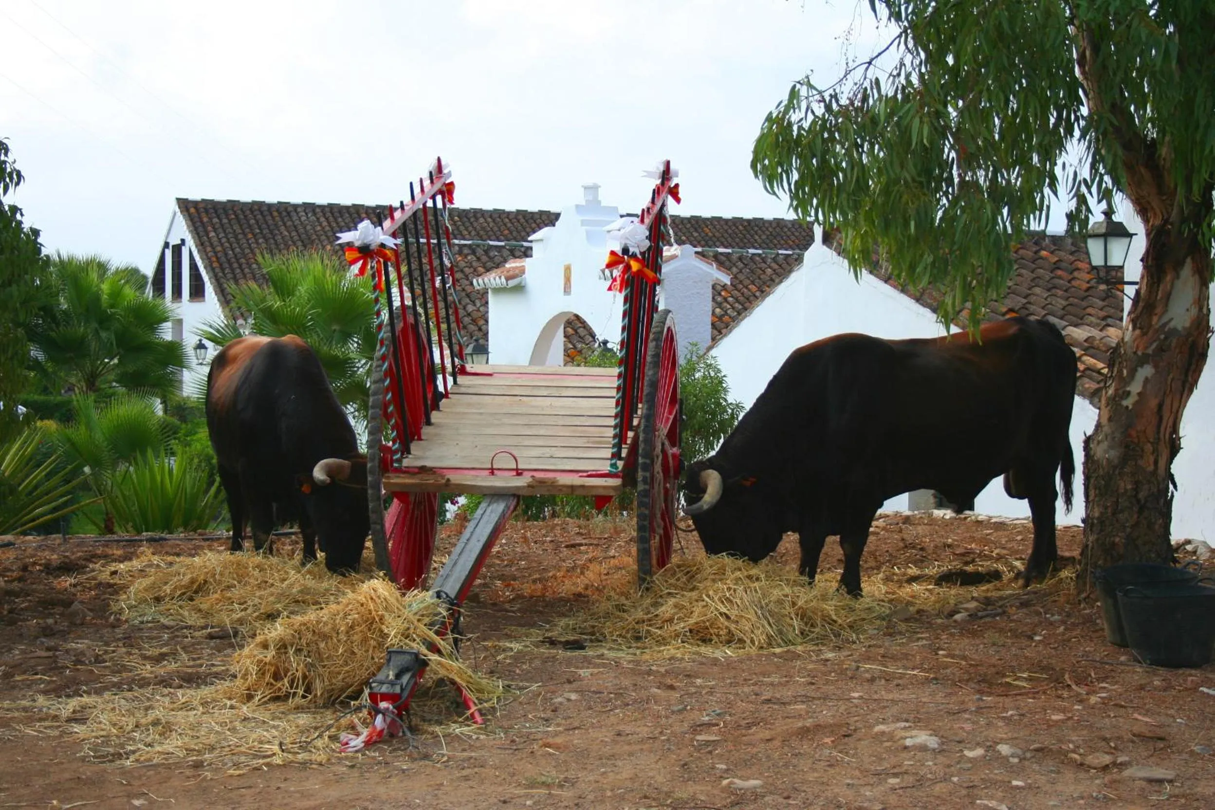 Activities in Hotel Cortijo del Arte - Caminito del Rey