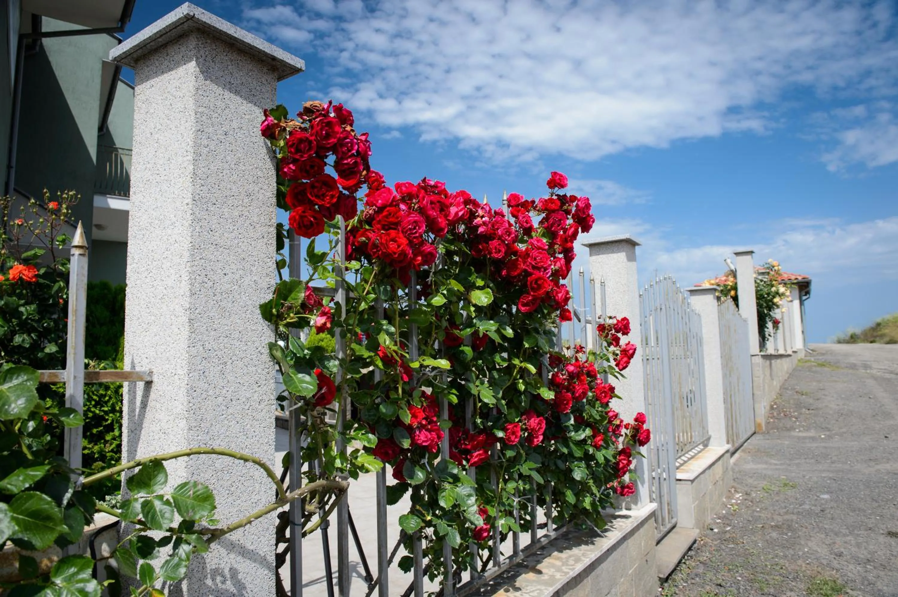 Property building in Gardenia Vacation Settlement