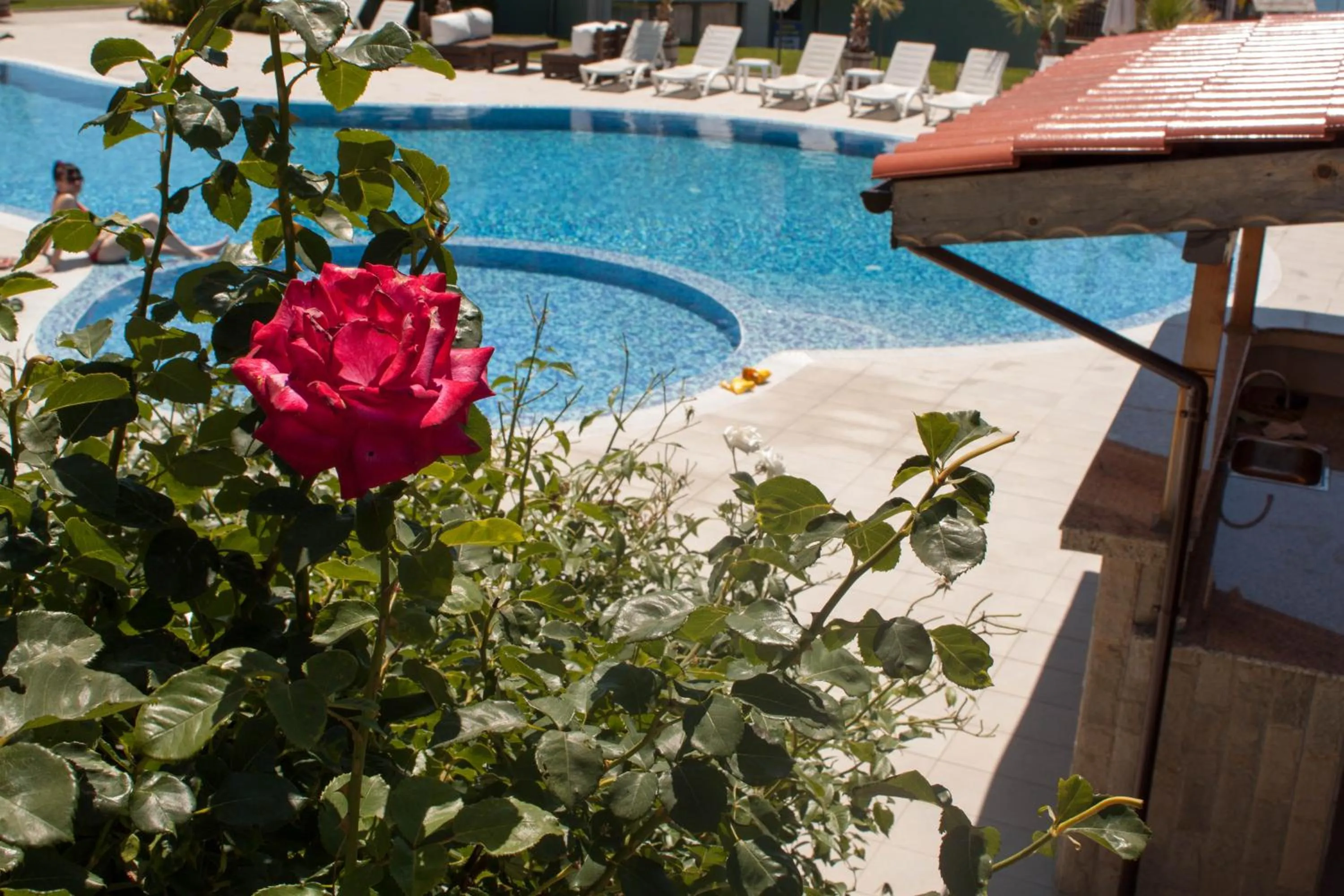 Swimming pool in Gardenia Vacation Settlement