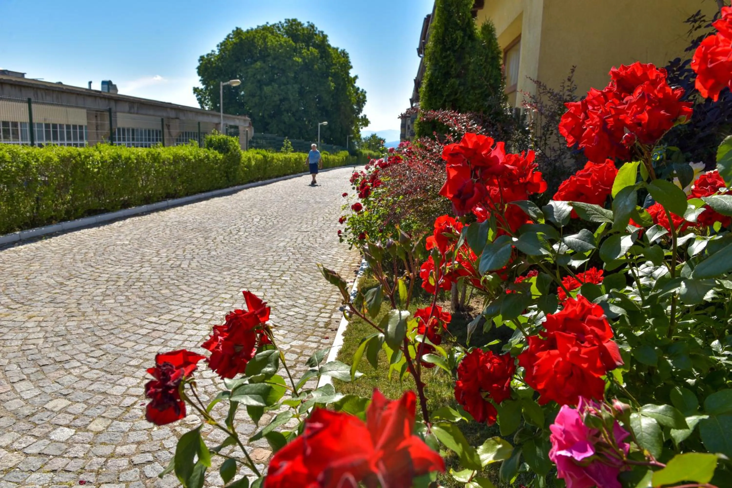 Patio in Hotel Bojur & Bojurland Apartment Complex