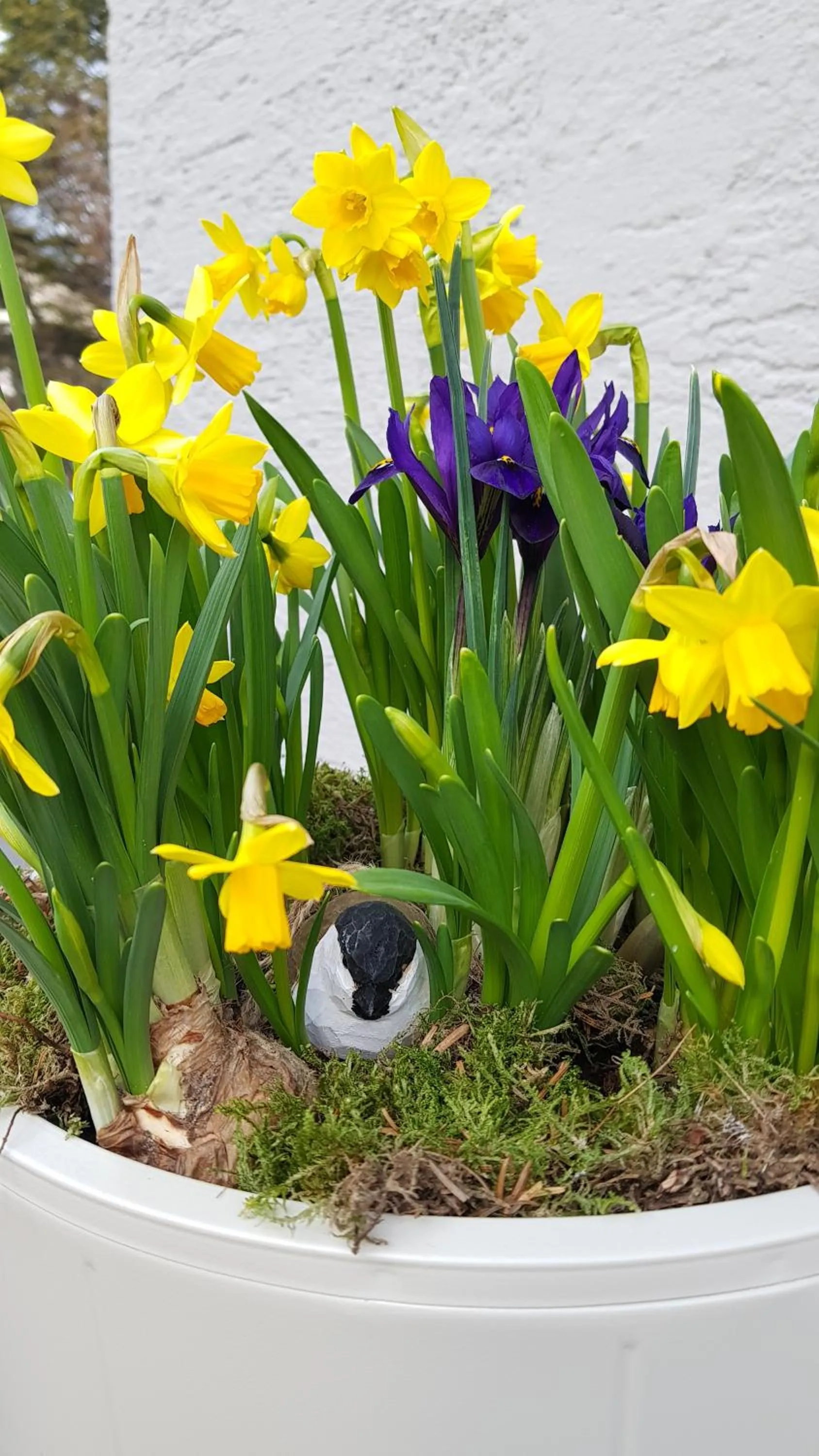 Facade/entrance in The Little Guesthouse