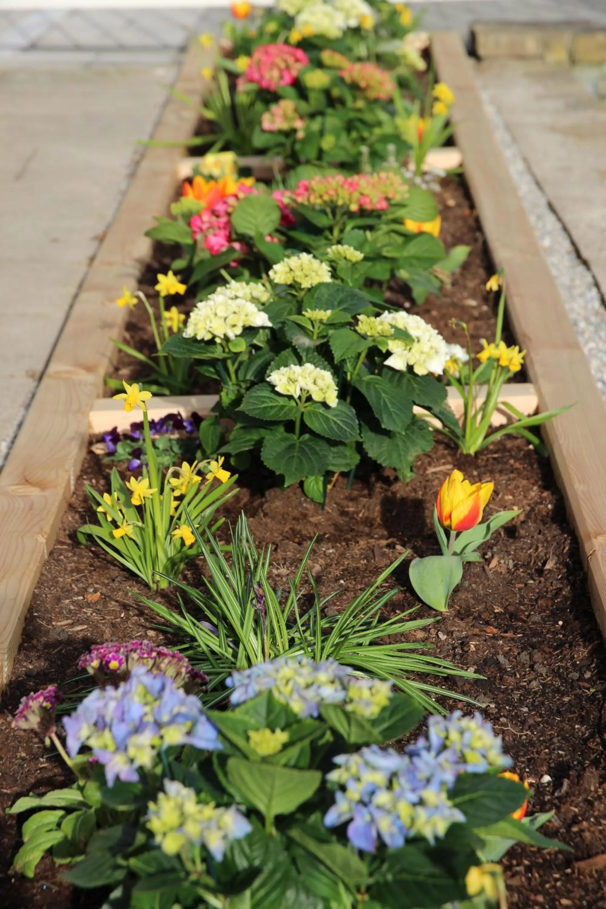 Garden in The Little Guesthouse