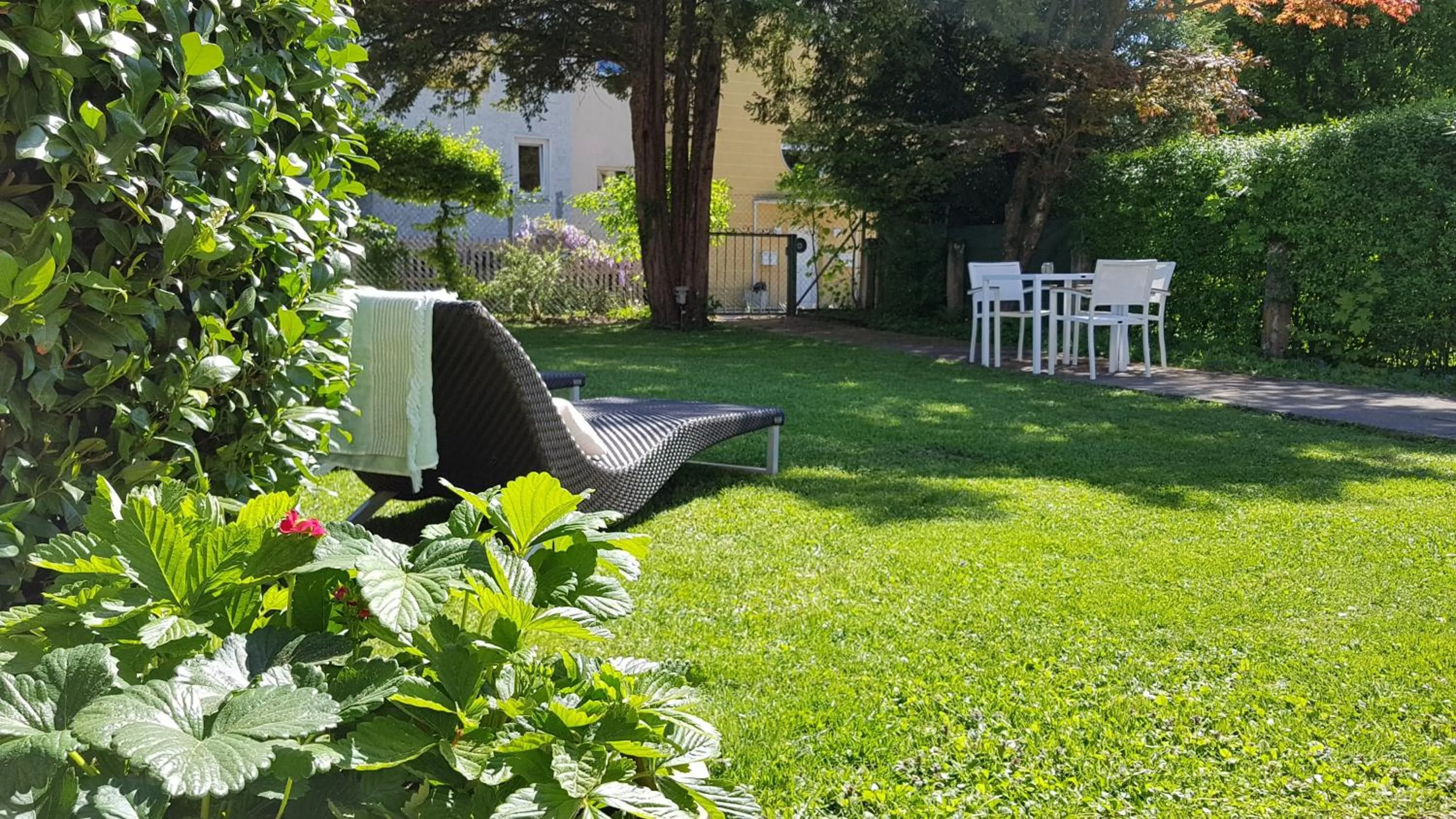 Garden in The Little Guesthouse